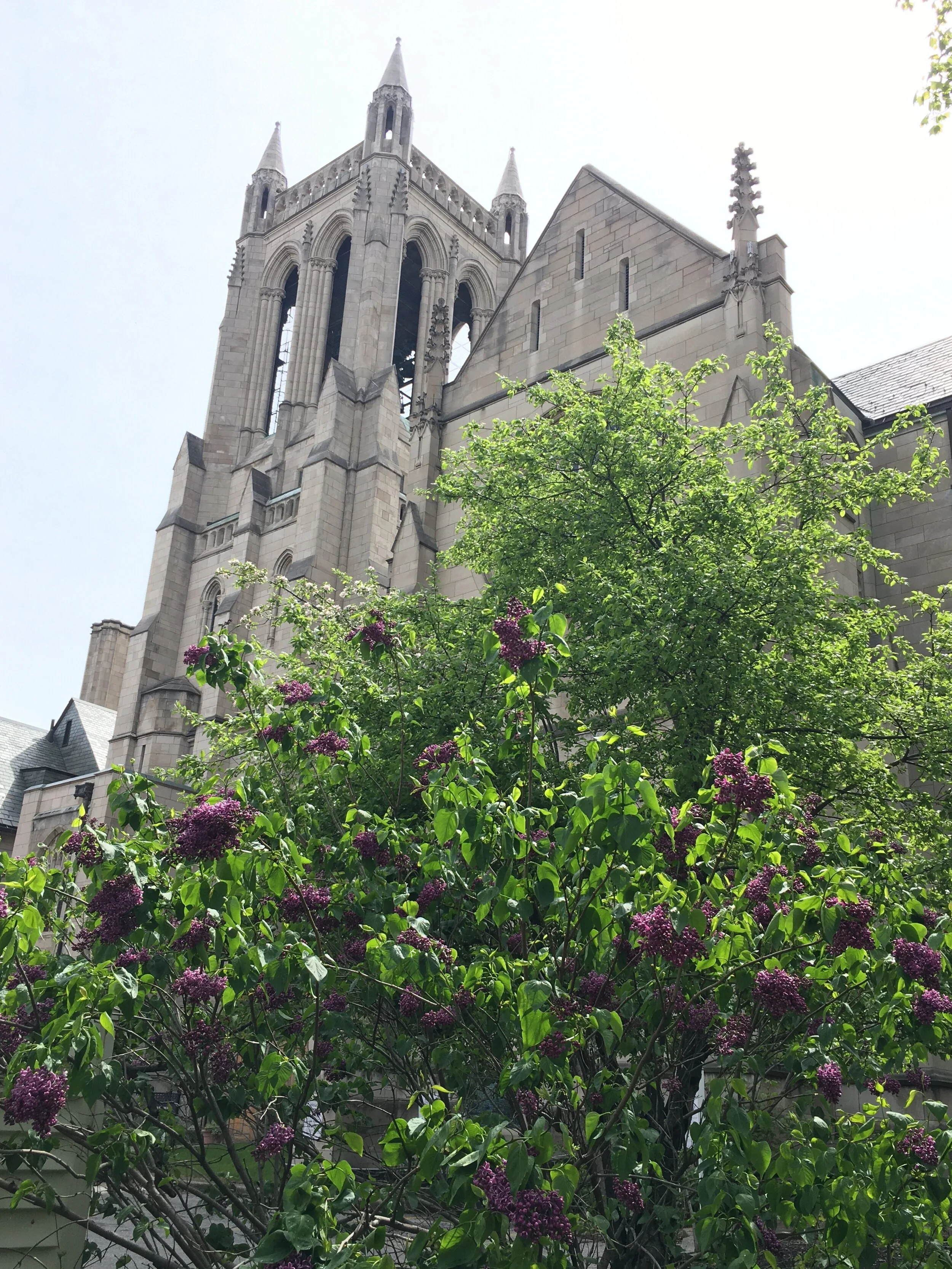 Lunchtime Drive-in Carillon Concert