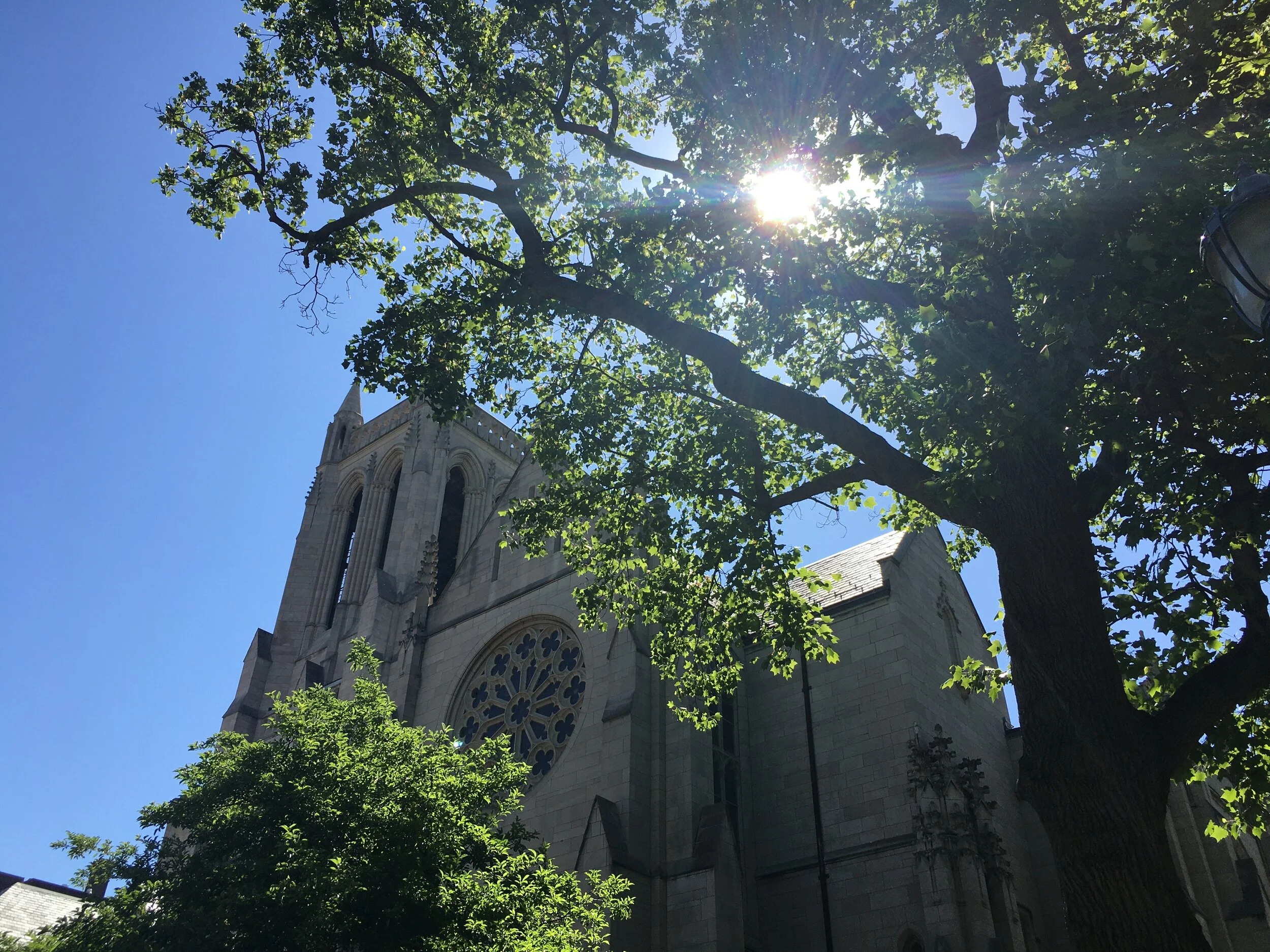 Lunchtime Drive-in Carillon Concert