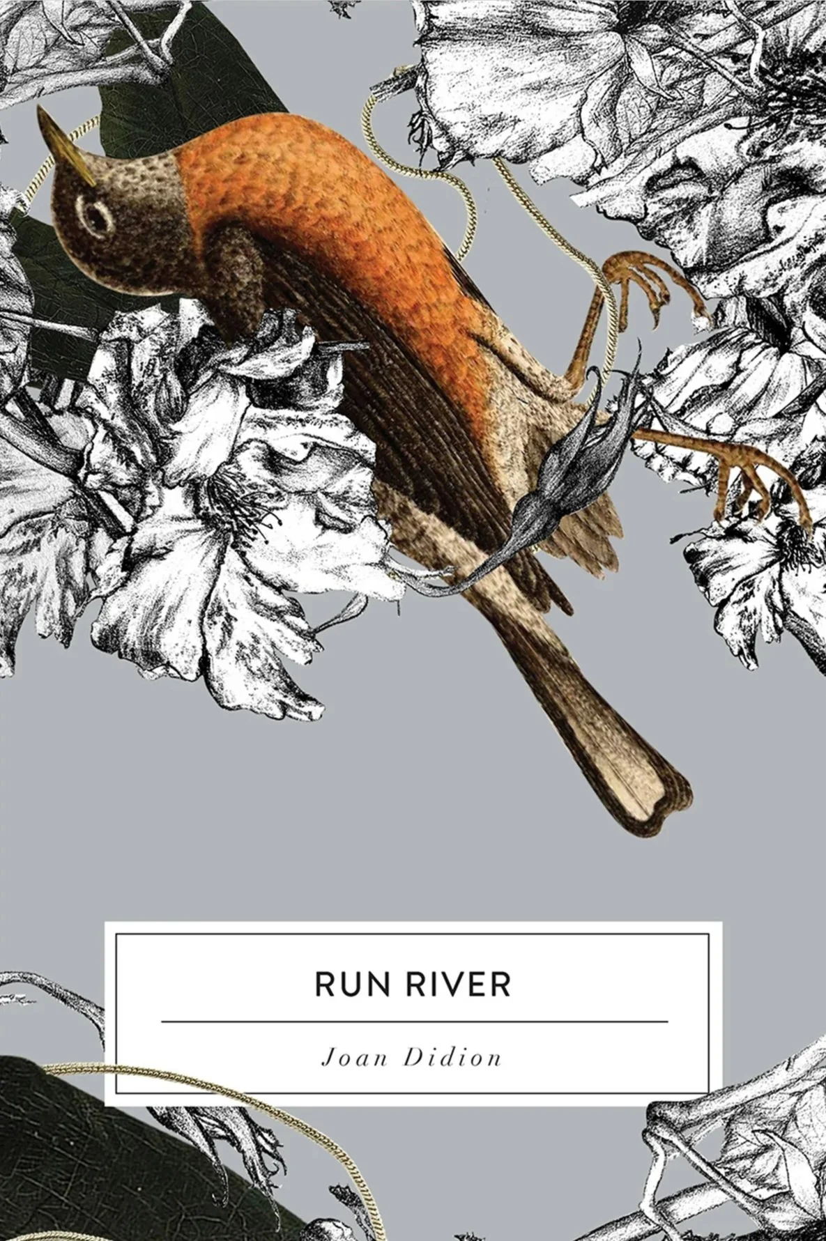 Collage illustrations and design