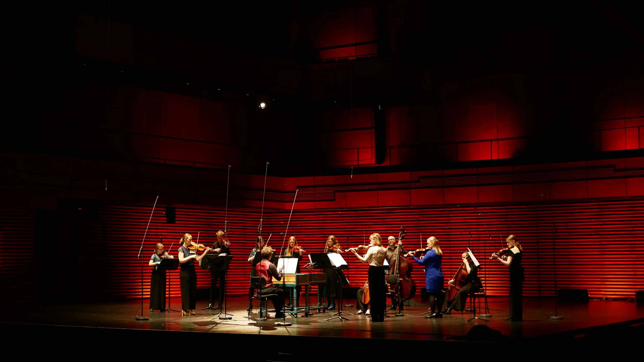 Brak mynd harpa eldborg.JPG