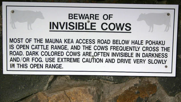 Beware of Invisible Cows