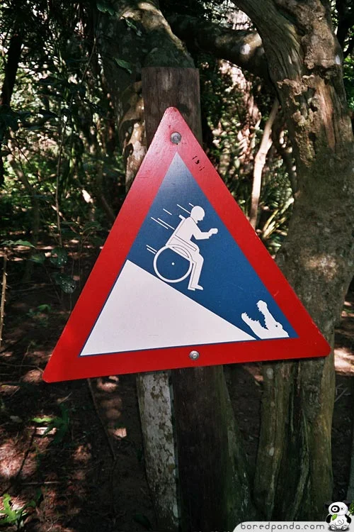Wheelchair Alligator
