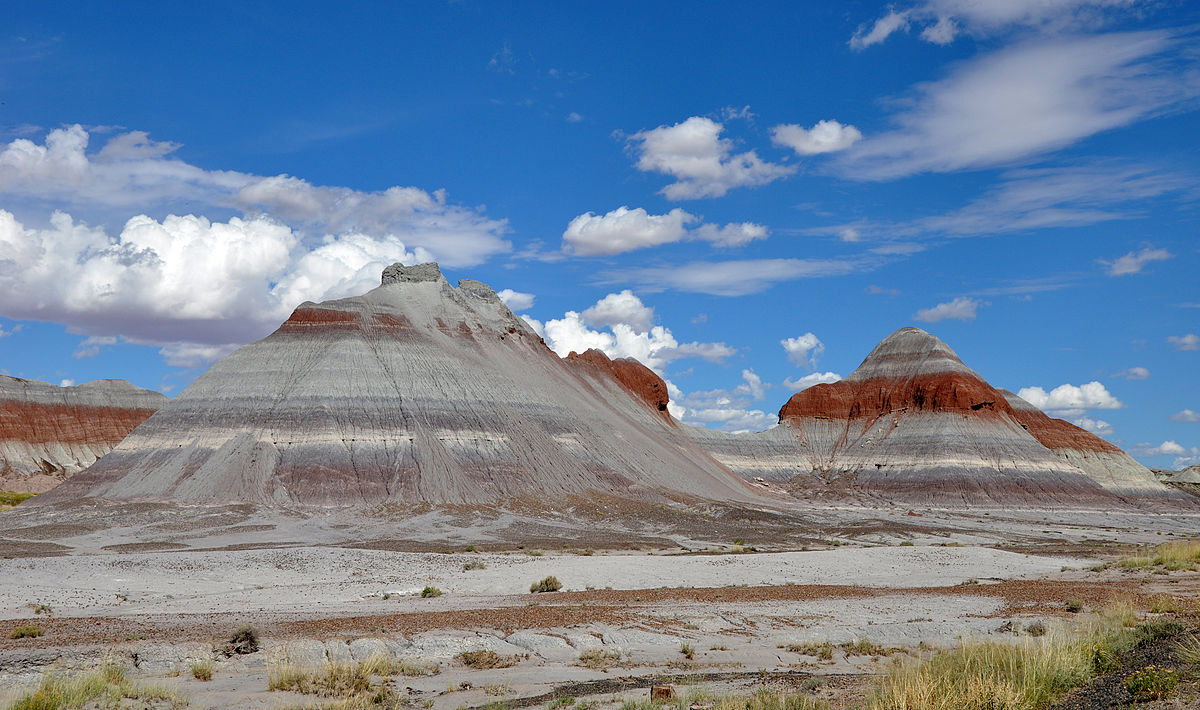 Petrified Forest National Park: near Holbrook, Arizona