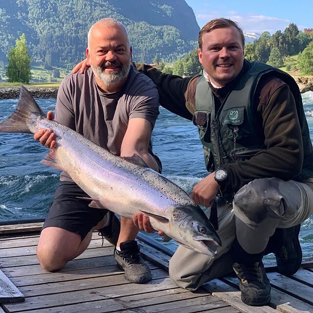 A beautiful salmon for eating. This was wounded bye a seal. Alex got the fish on his Sunray Shadow. We kept it in one of our Keep Boxes in the river, but the fish never recovered. Salmon for dinner