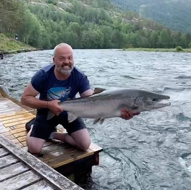 37-pounder / 17 kg from yesterday. Just needed to show a few more photos of this beautiful #wildsamon in #aaroyriver #&aring;r&oslash;yelva #bigfish #norway #laksefiske #sportfishing