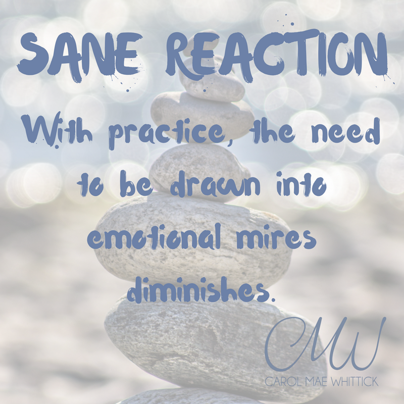 SANE REACTION.png