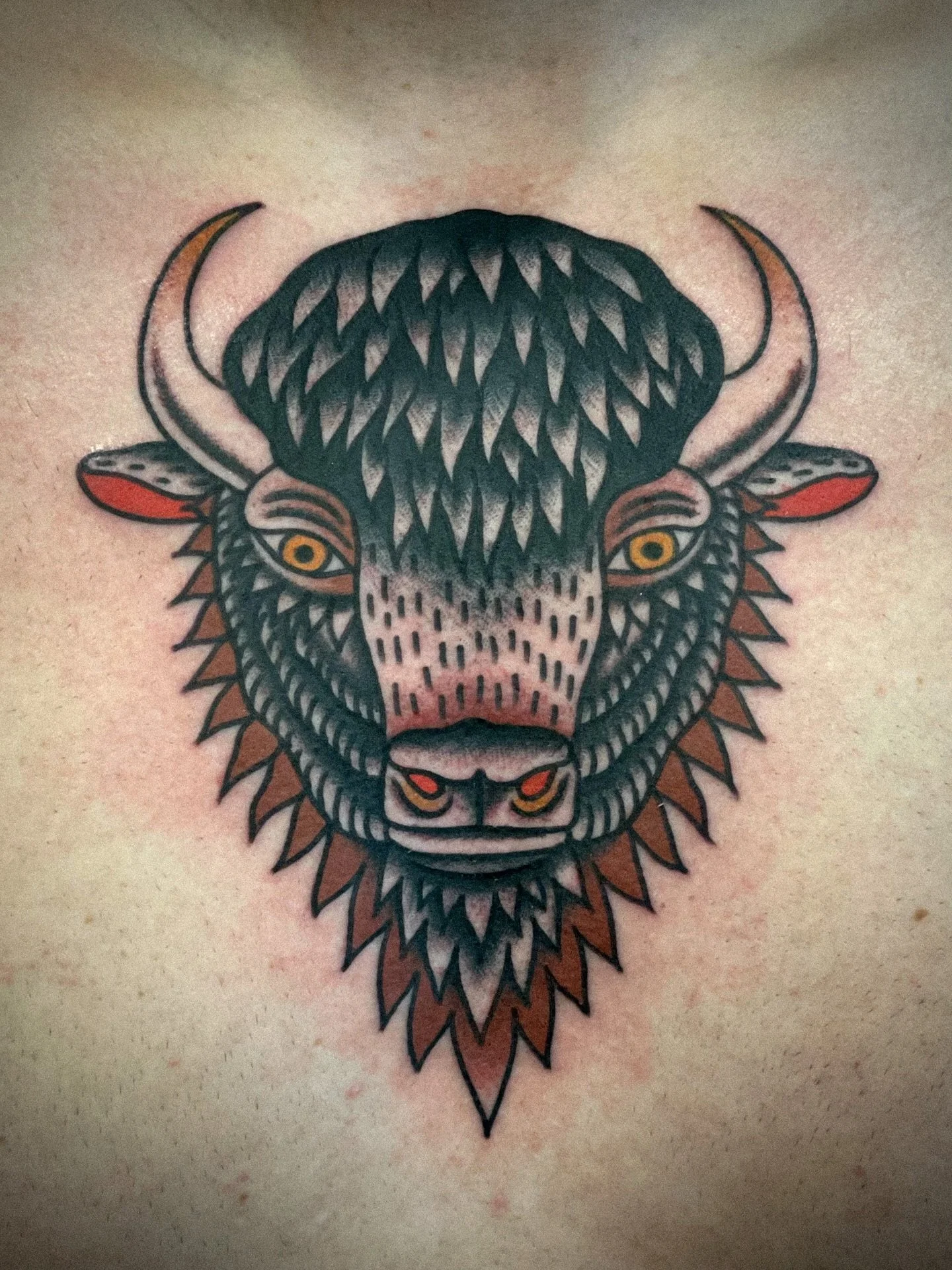 Bison for Jason. More like this, please.