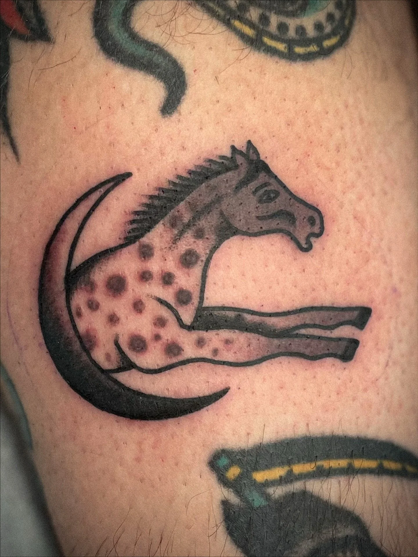 Smaller black an grey work. Thanks Jon, Sean, Cass(2) and Sophia(2).