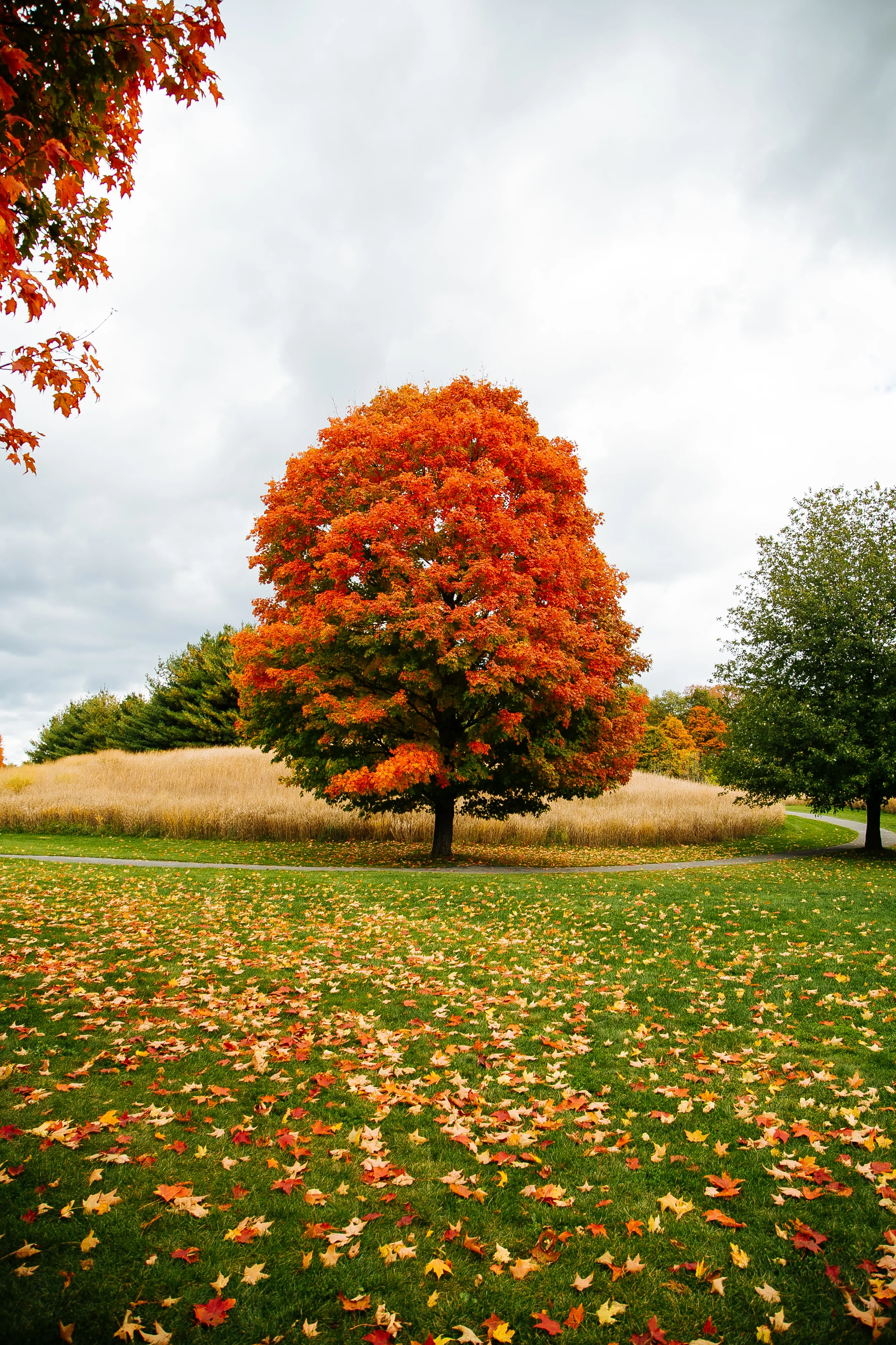StormKing_Oct2015-2.jpg