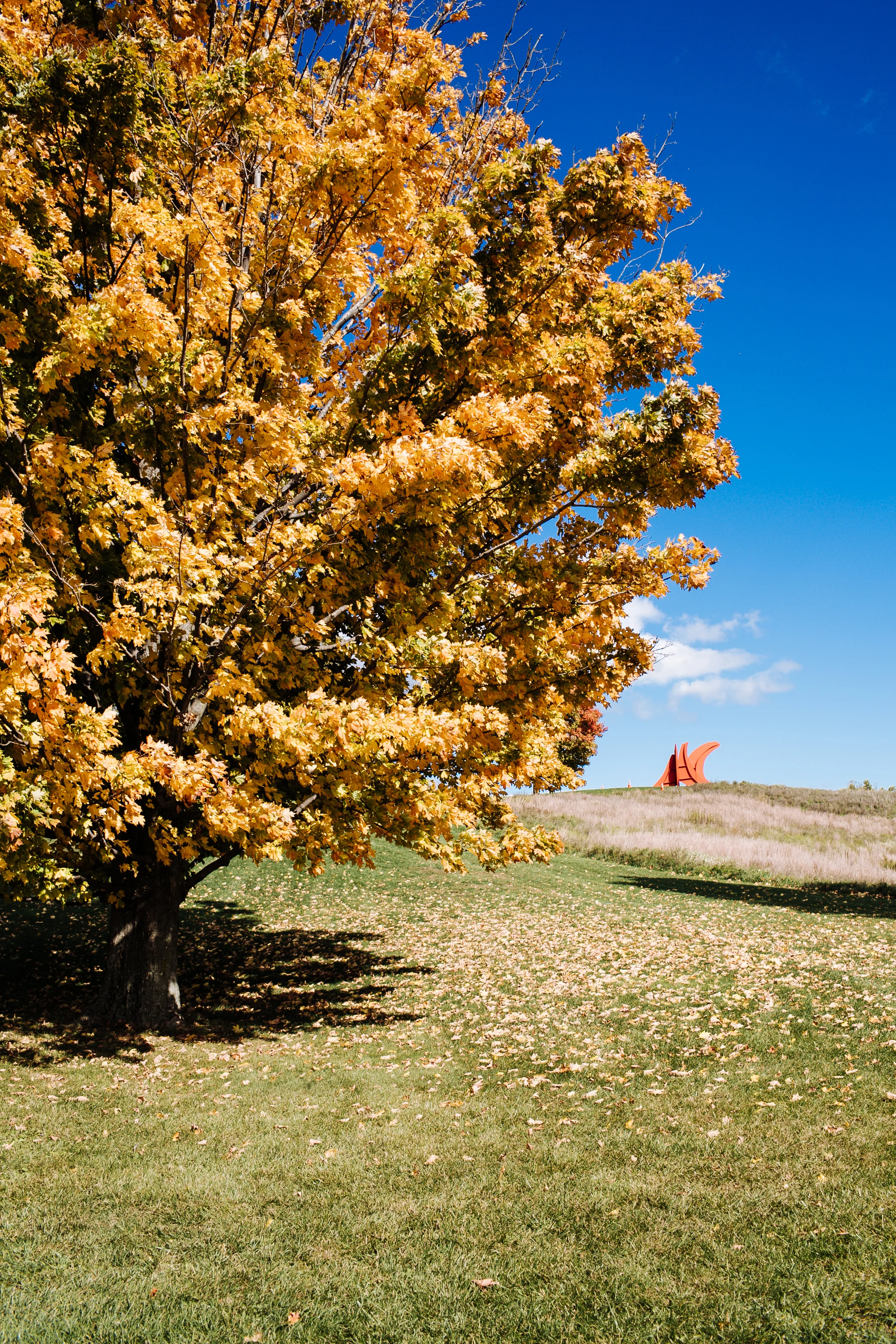 StormKing_Oct2015-25.jpg