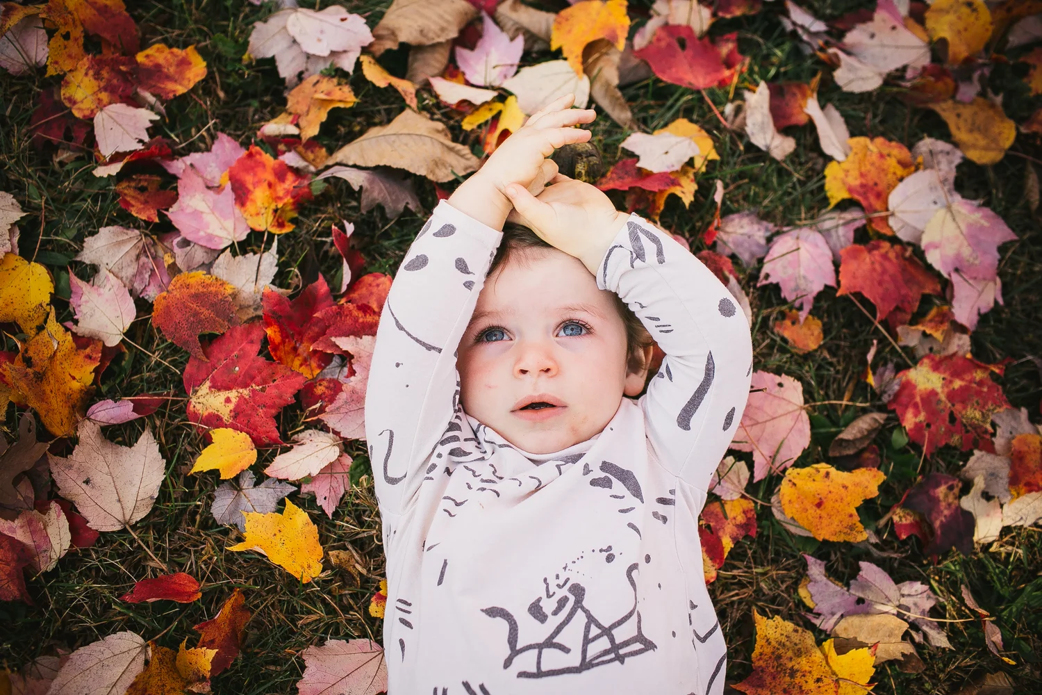 Fall Family Fun In Upstate, NY