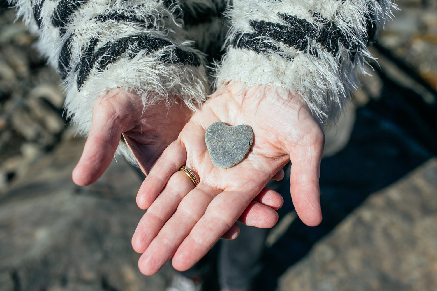Family Road Trip In Acadia, ME