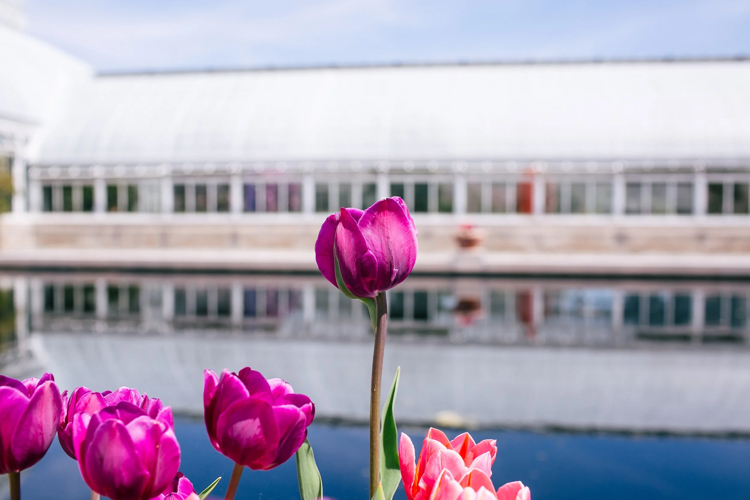 NYBG_April2025-53.jpg