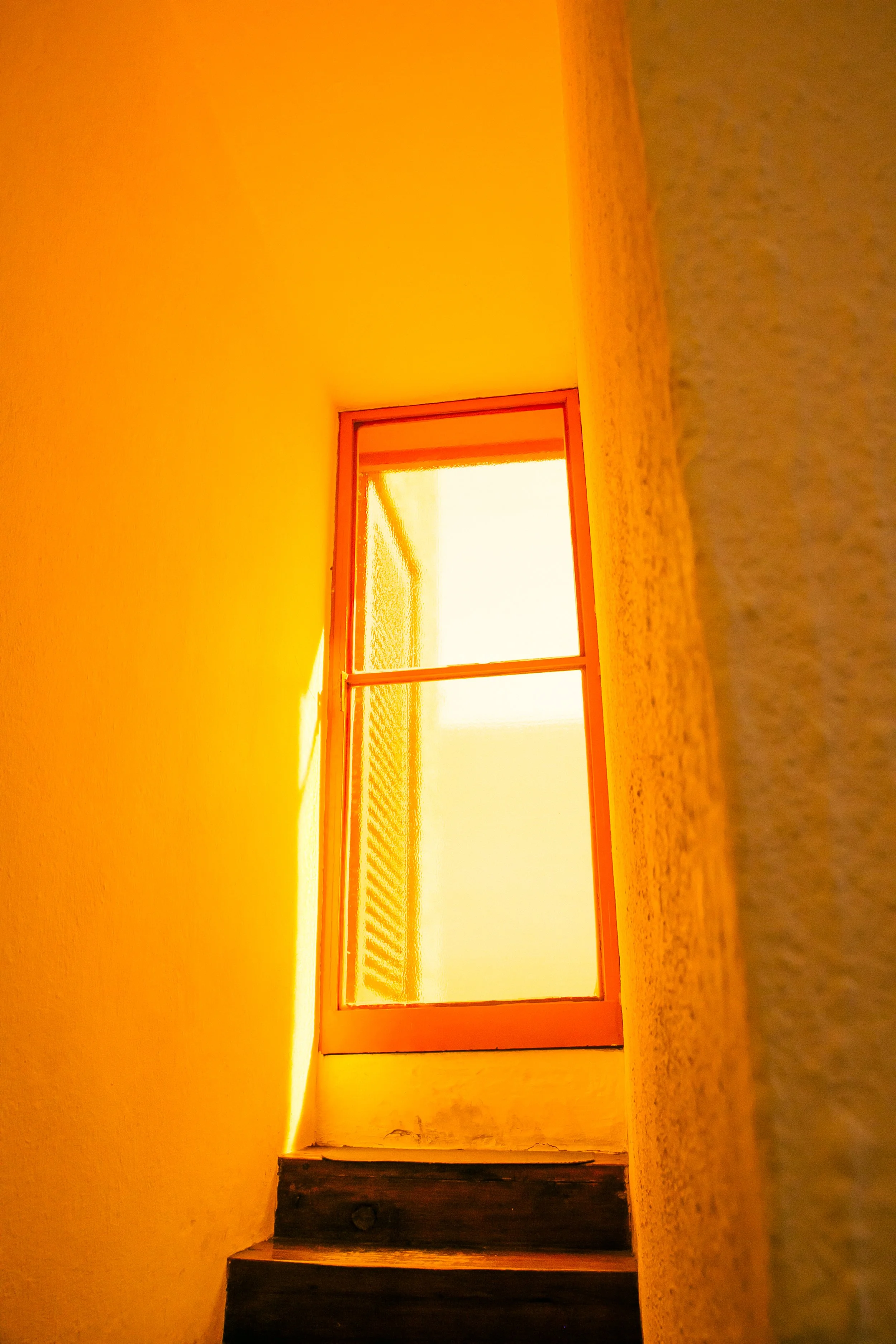 CDMX-11.jpg