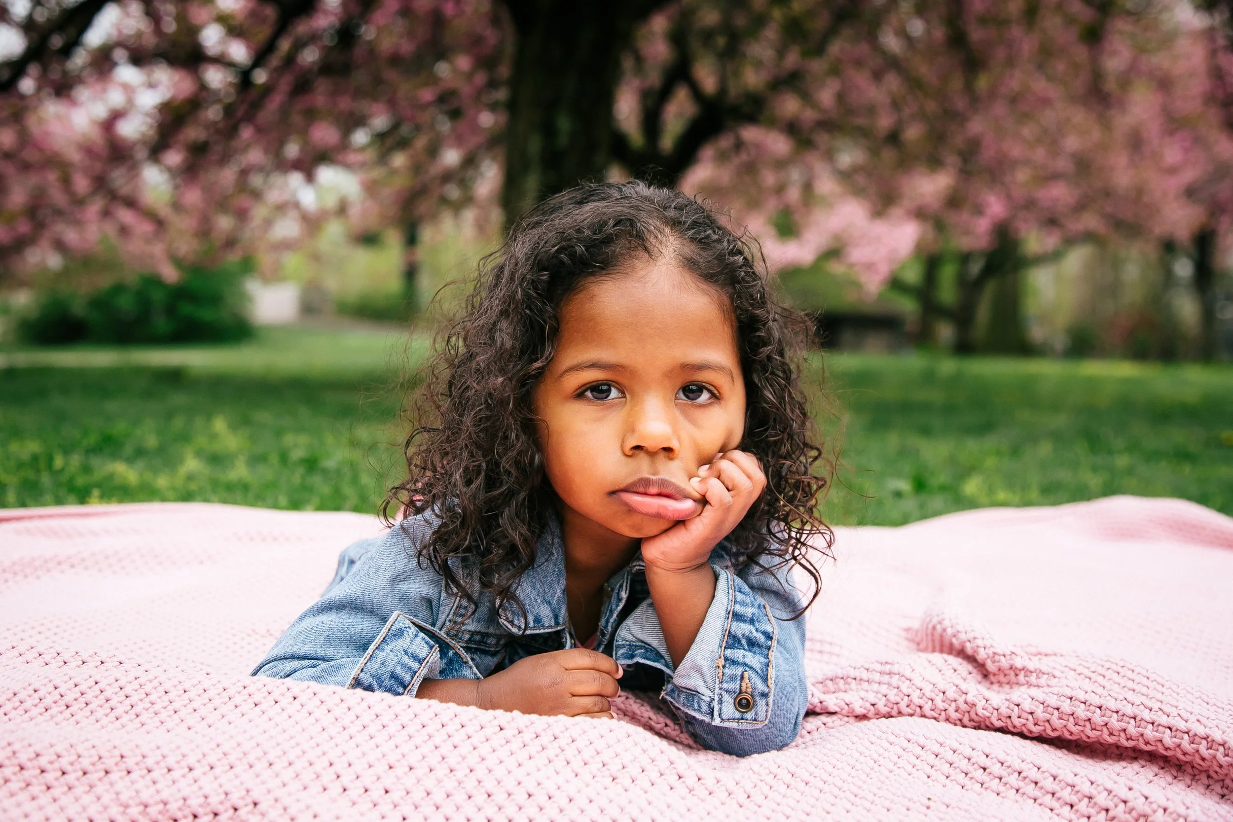 Cherry Blossom Maternity Photos in Millburn, NJ