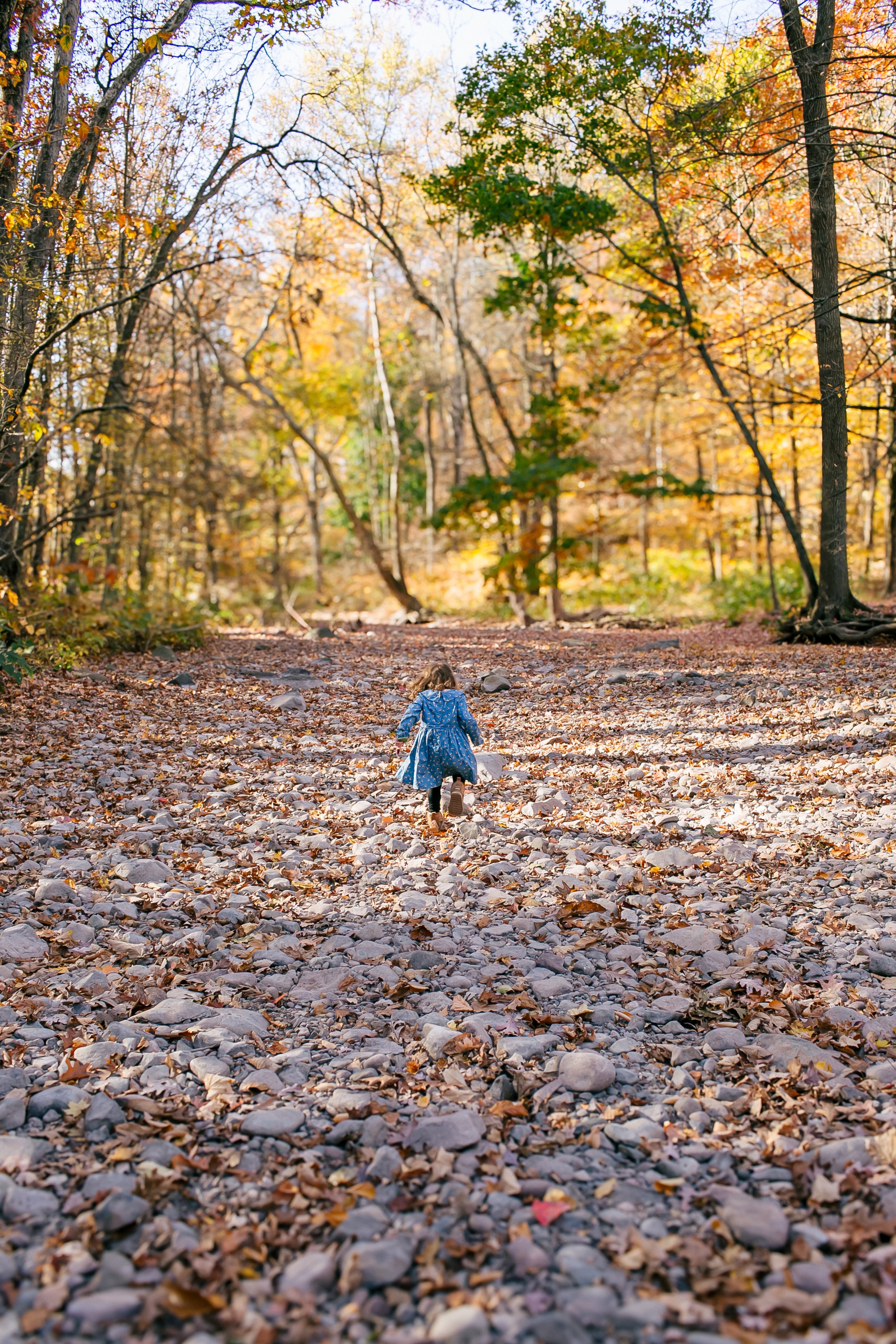 best-family-photos-maplewood-nj.jpg