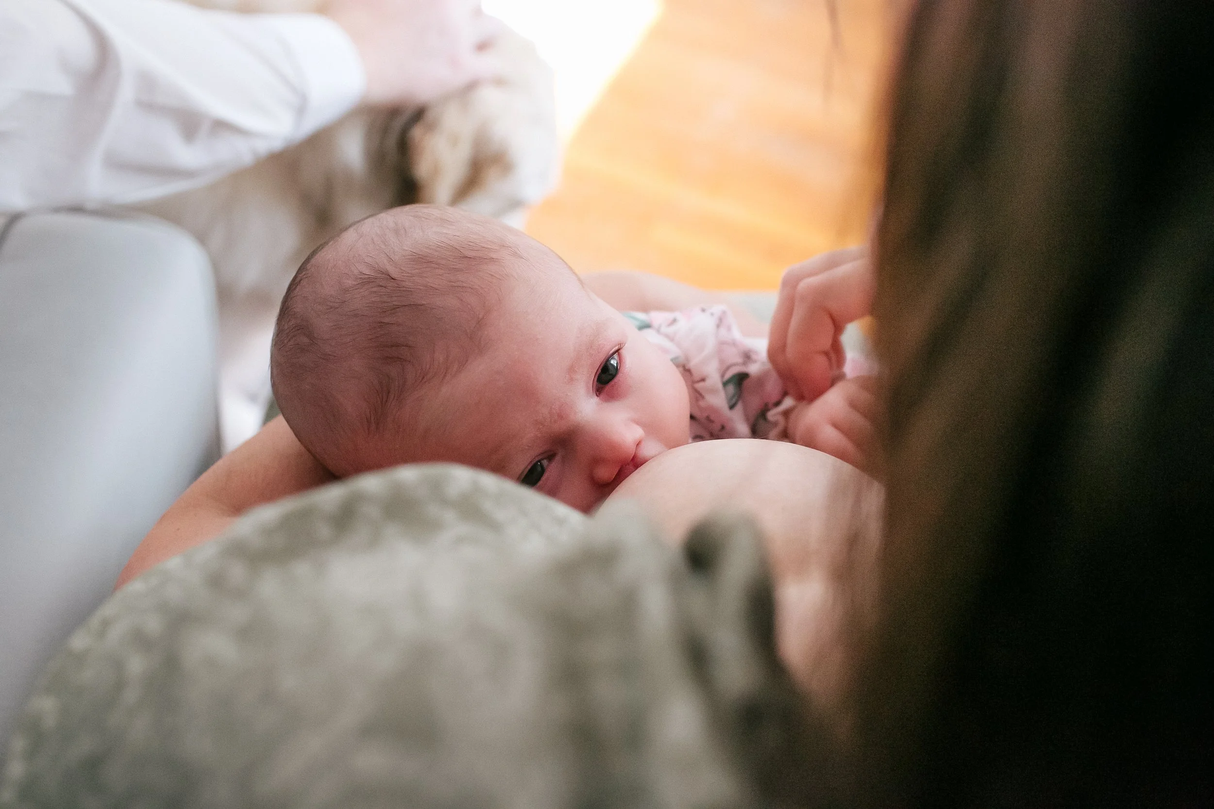 maplewood-nj-newborn-photographer2.jpg