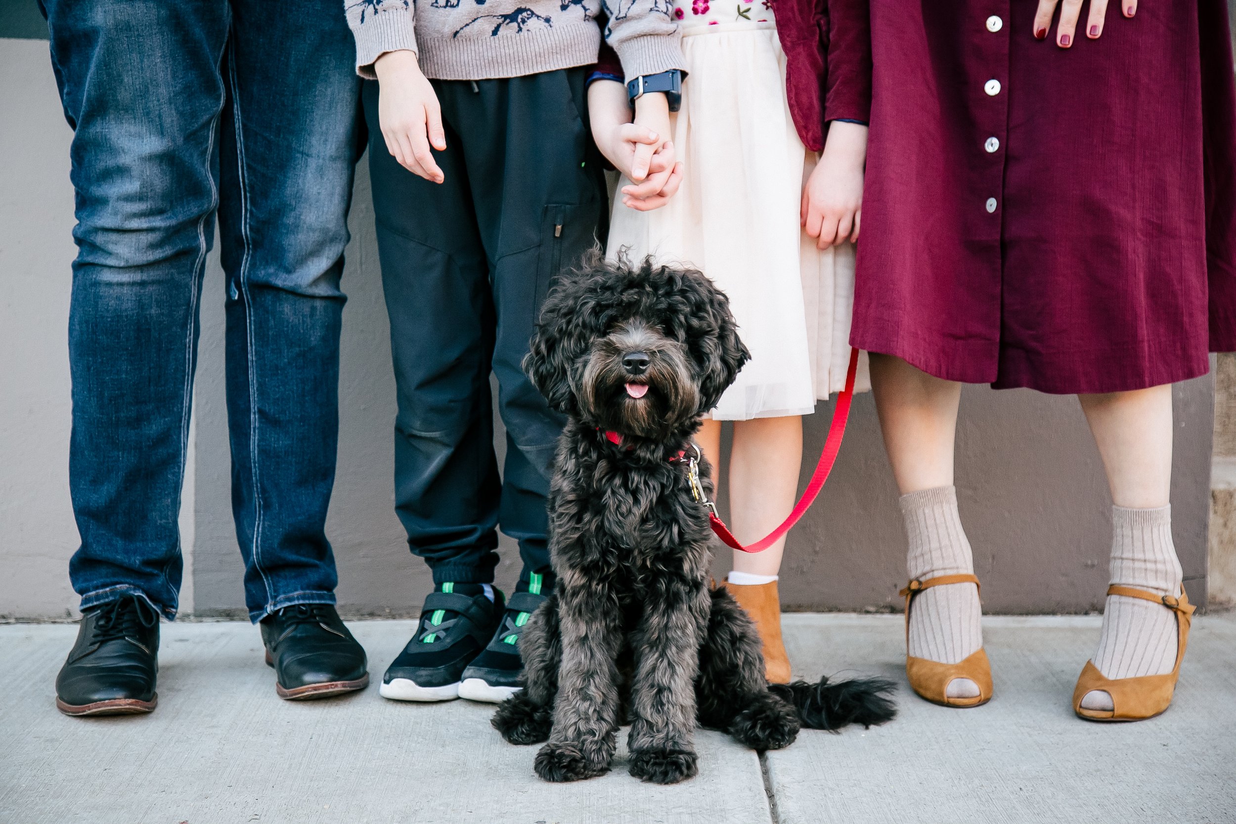 How to Choose the Perfect Location for Your Family Photos in New Jersey