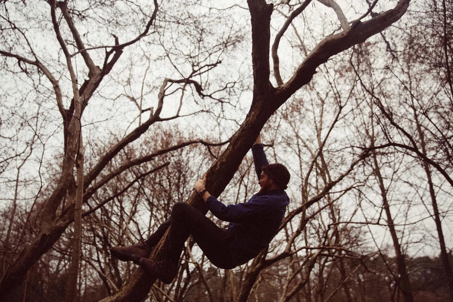 tree climbing gareth.jpg