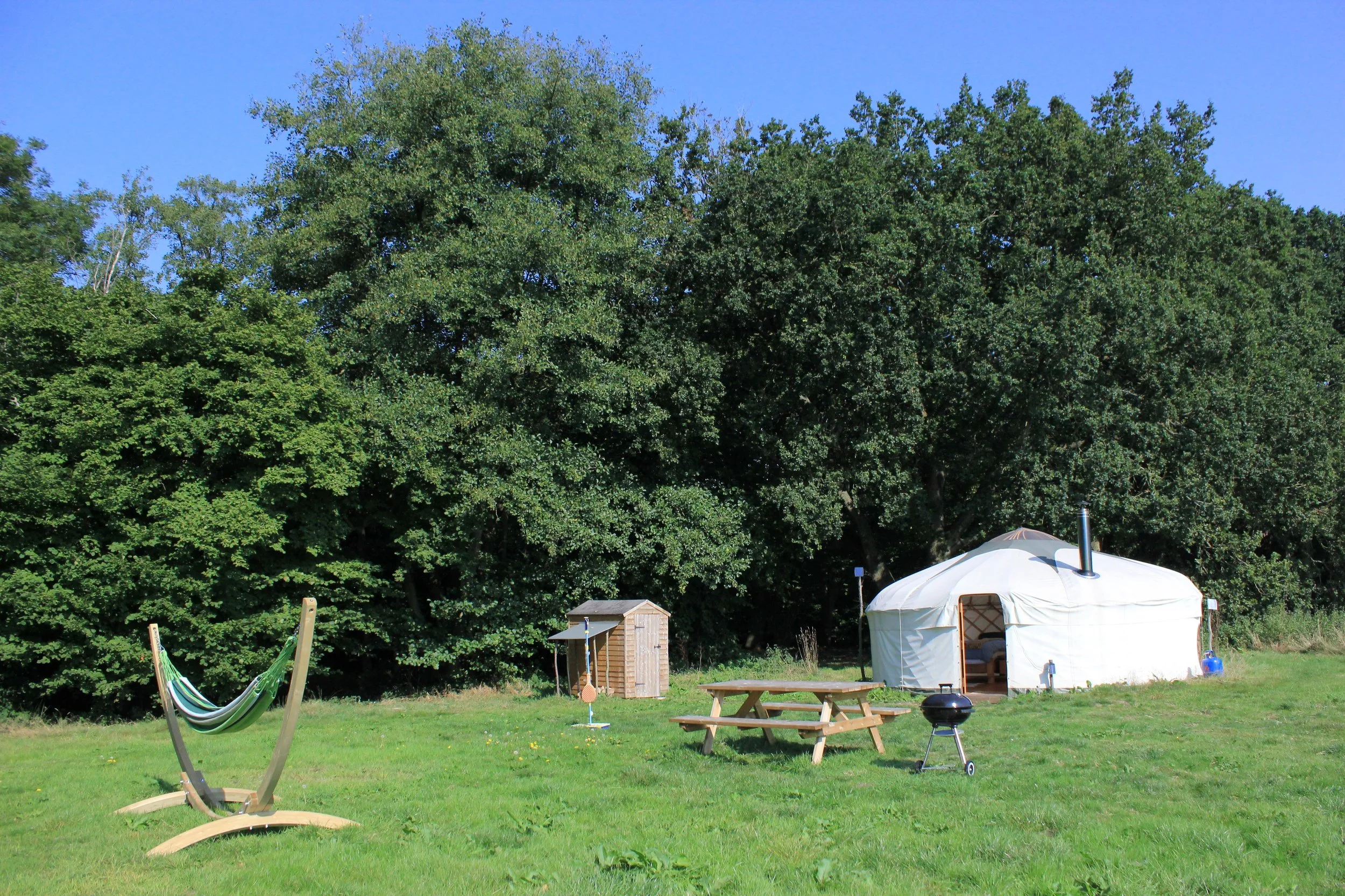 Oak Tree Yurt basking in the sun