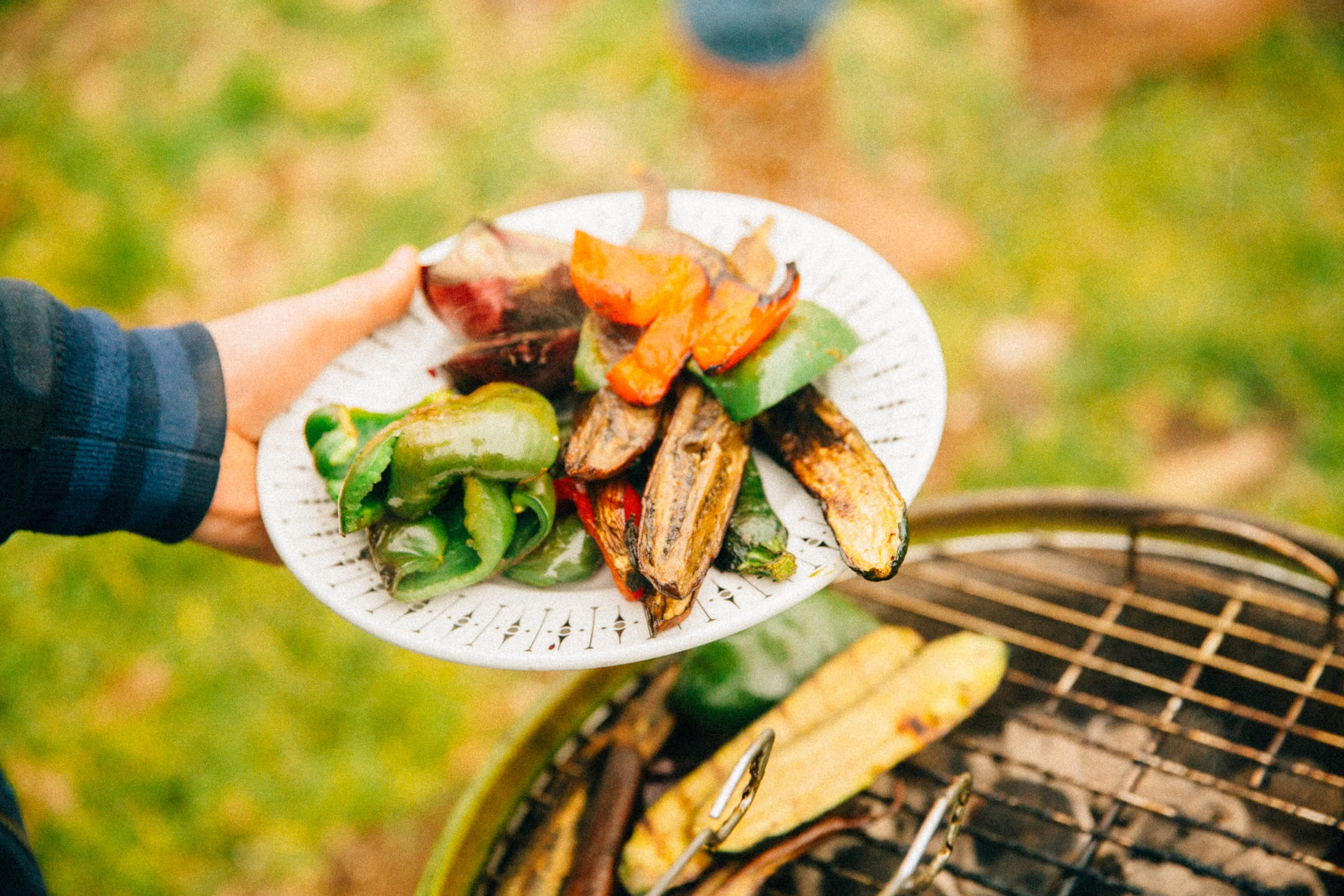 Vegetables cooking on the barbecue - peppers, aubergine, cougette