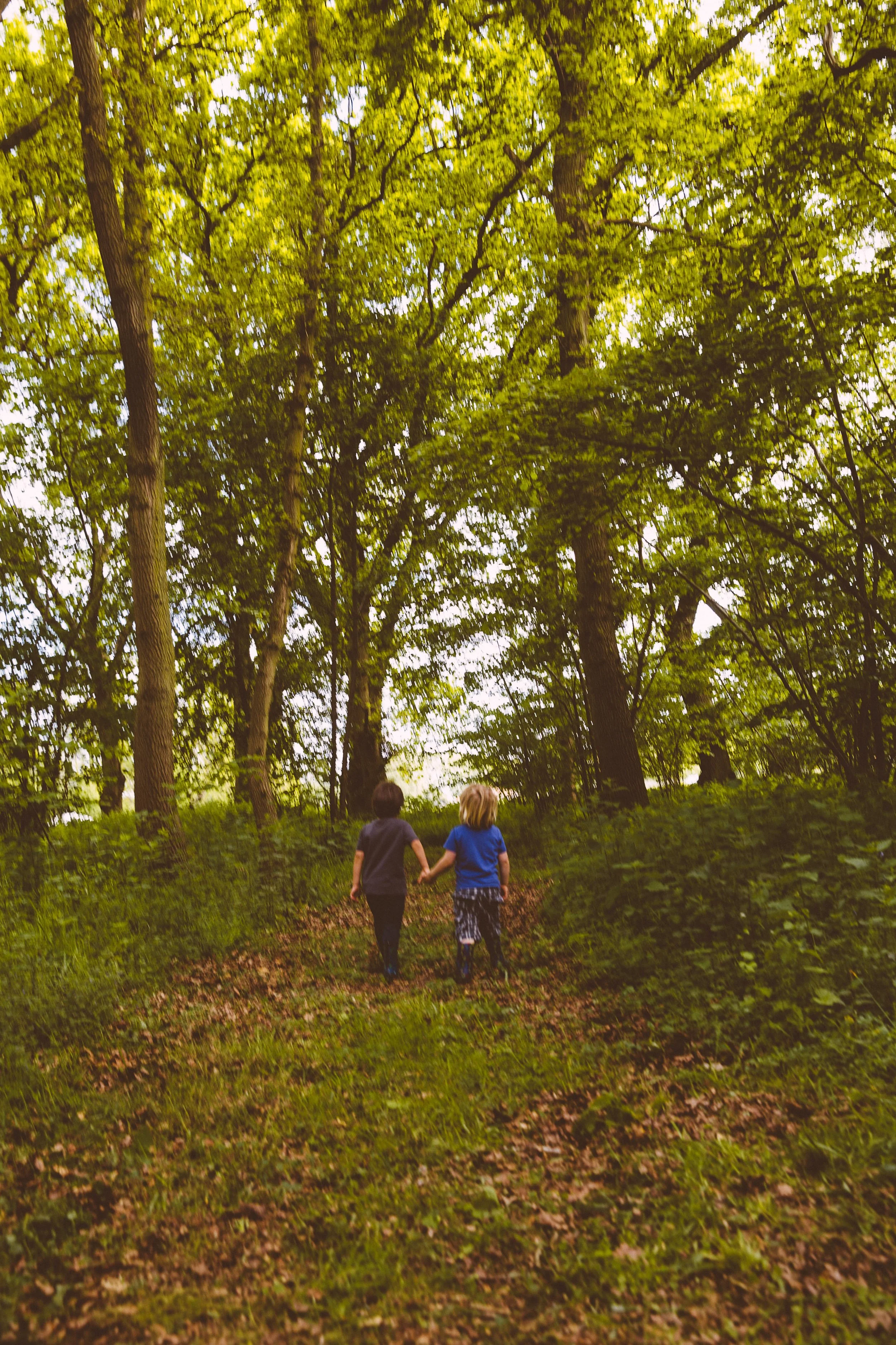 Children wandering through the woods, reconnecting with nature