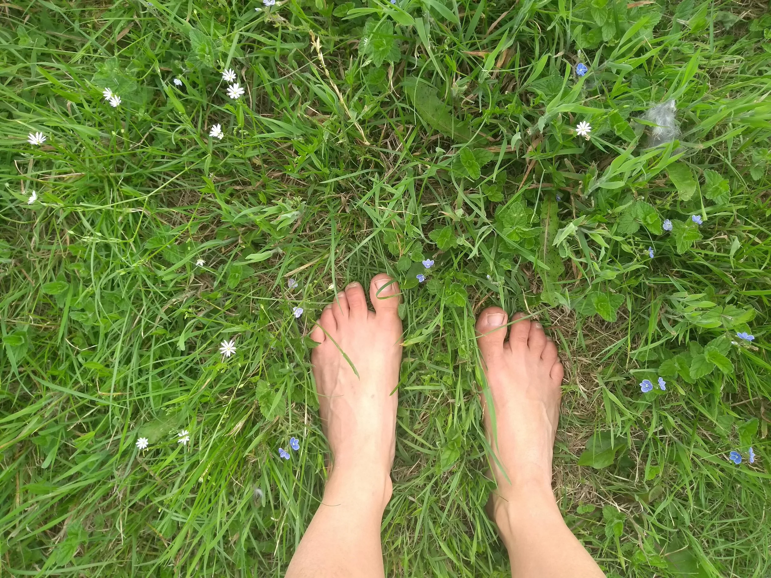 Barefoot in the meadow