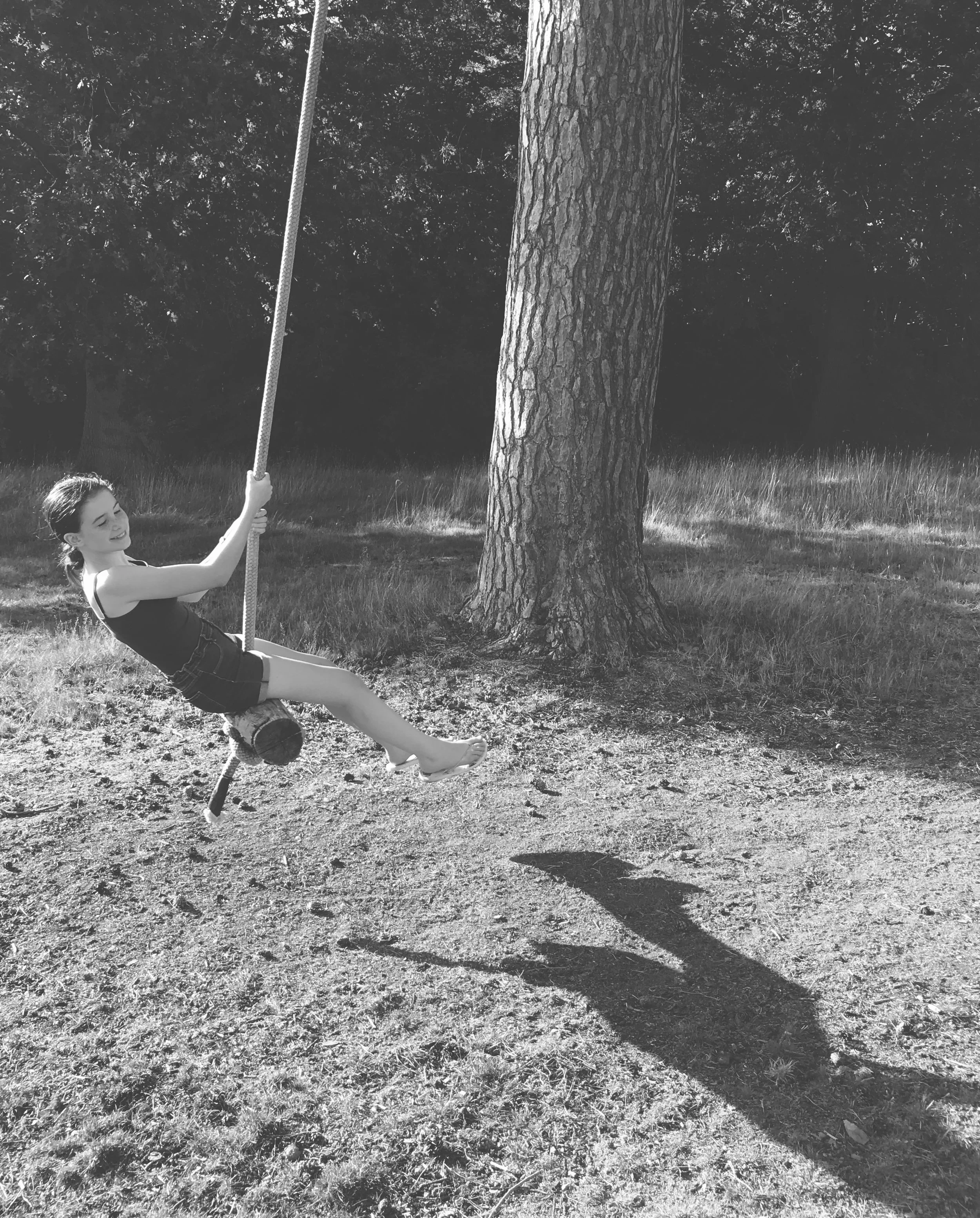 Tree swing - Phillip Gentry