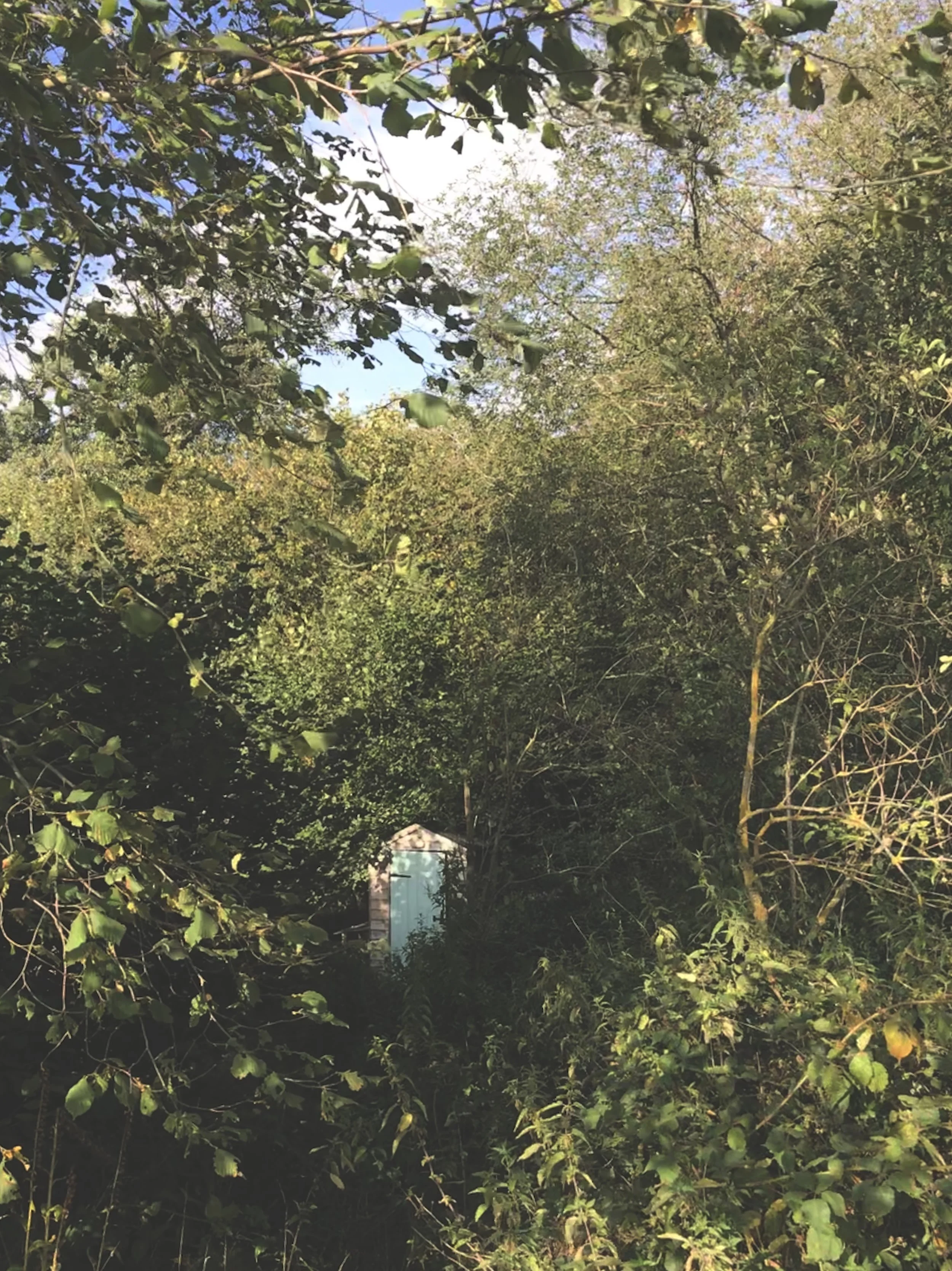 Compost toilet hidden down a path - Phillip Gentry