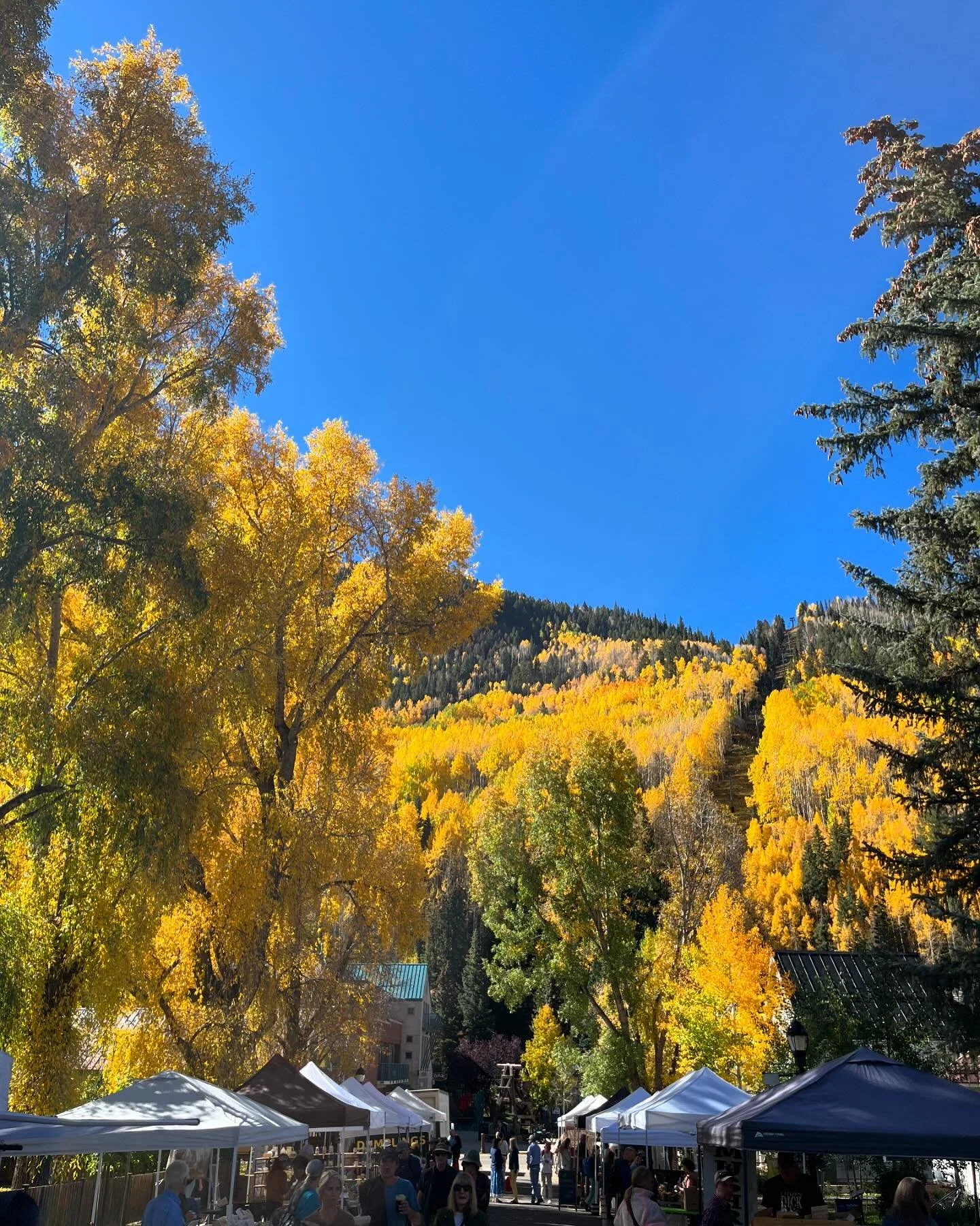 Turns out 8,700ft at elevation is good for more than just altitude headaches and near-constant nosebleeds.