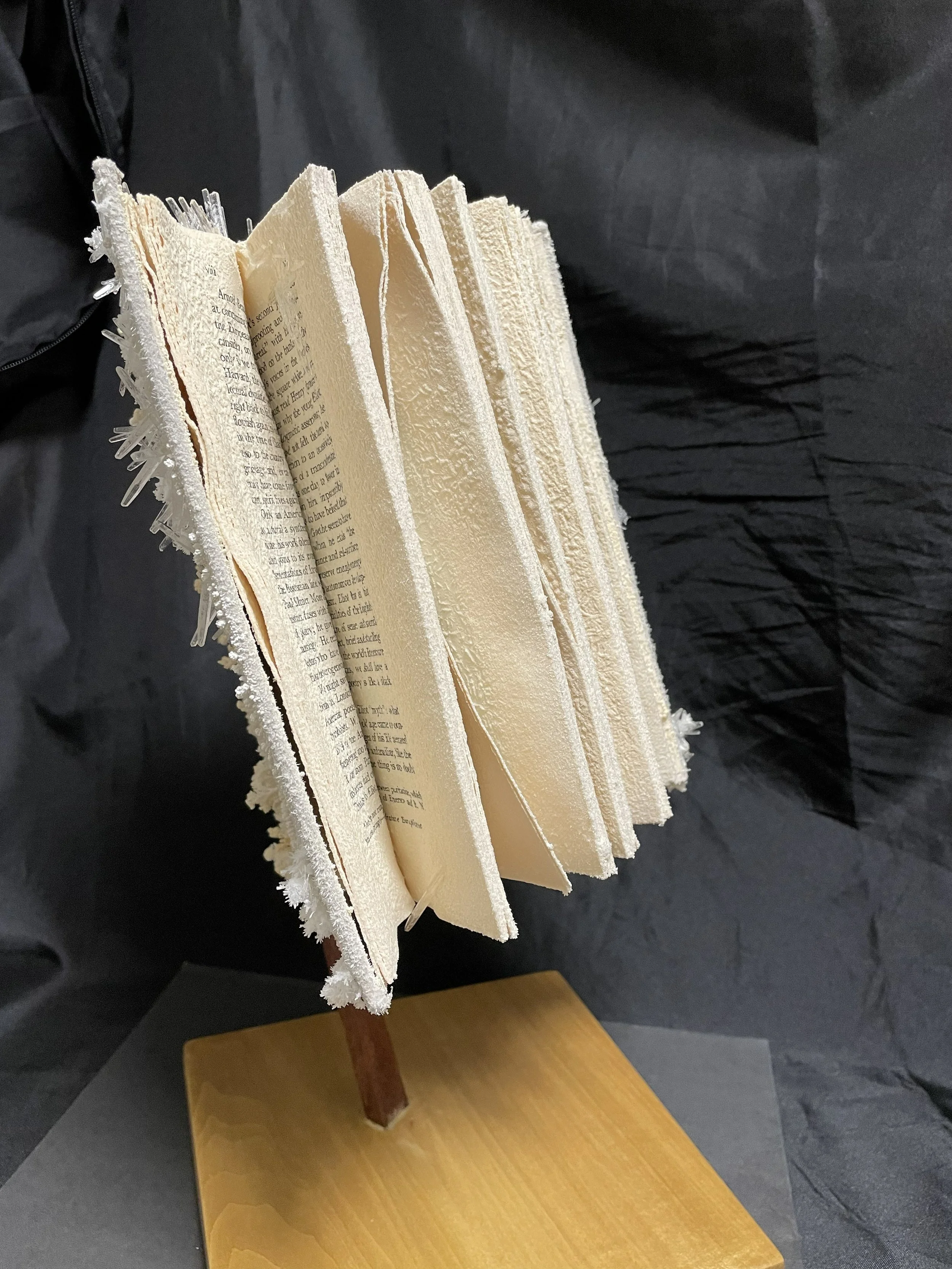 book crystals 2.jpg