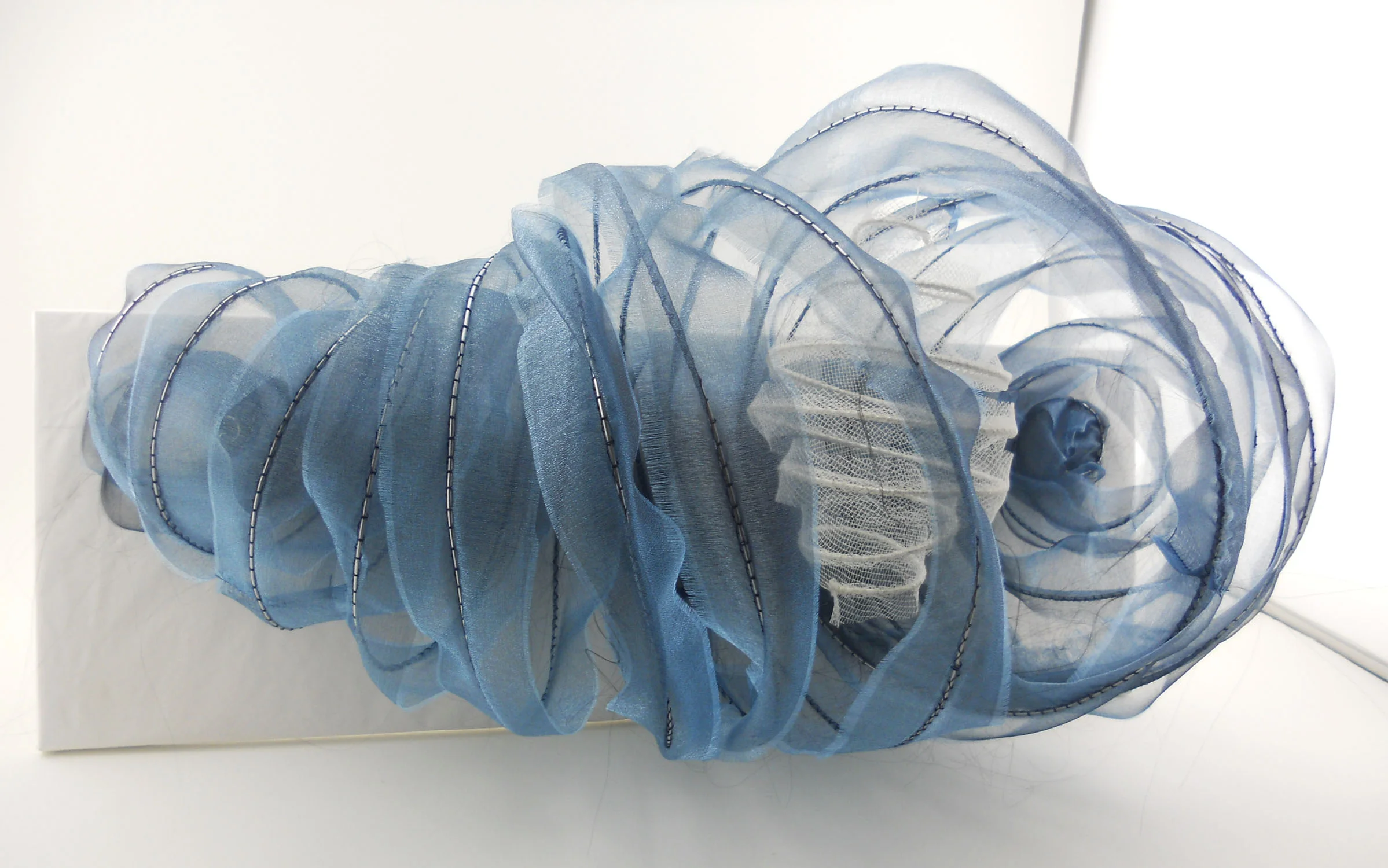 rib cage