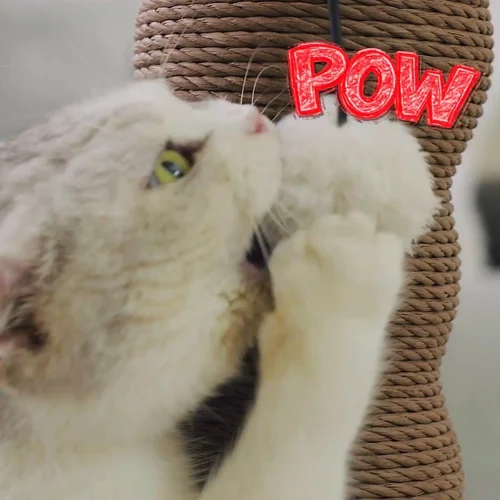 Costco Friends Forever Cat Scratcher styleframe 2