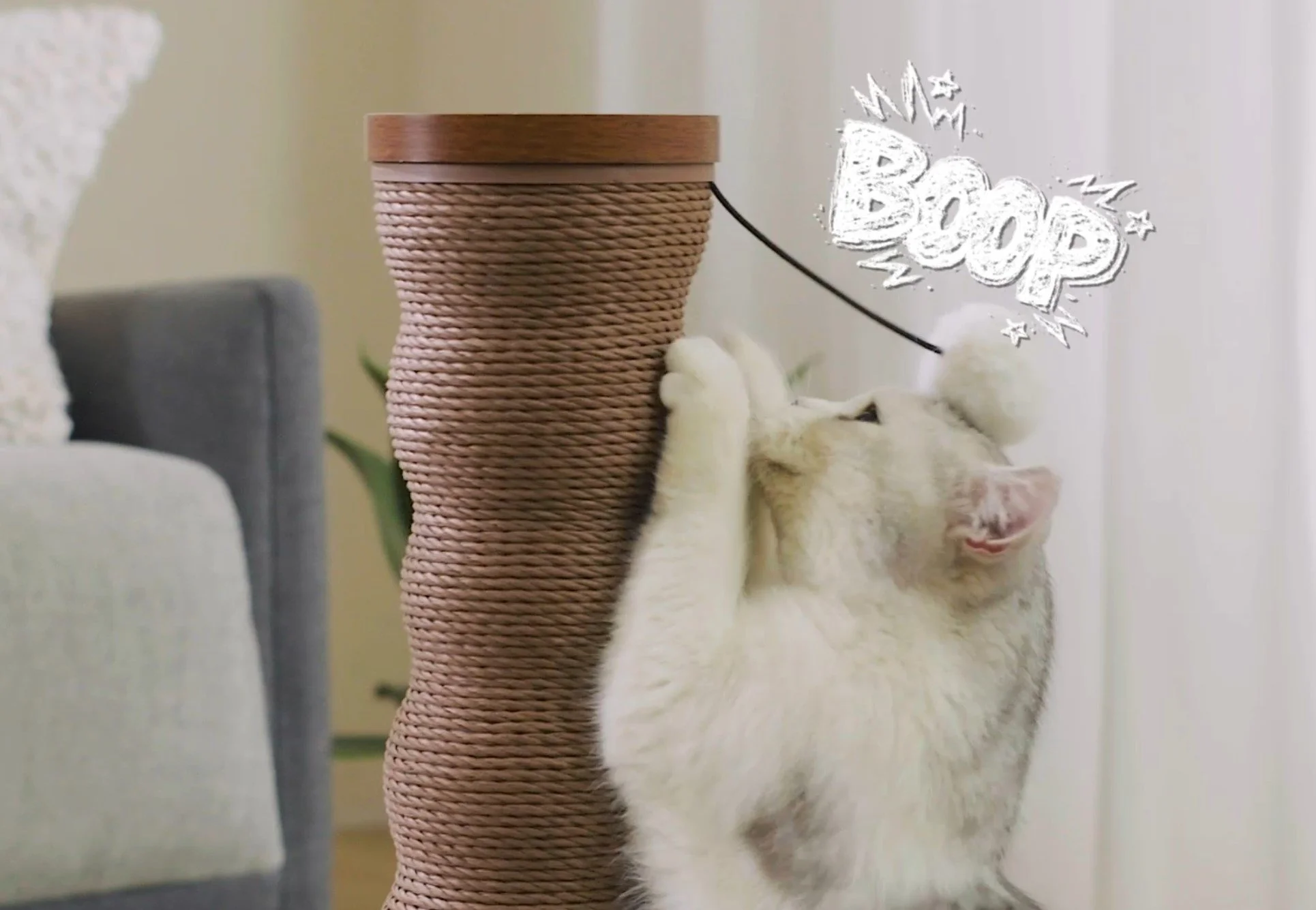 Costco Friends Forever Cat Scratcher styleframe 6