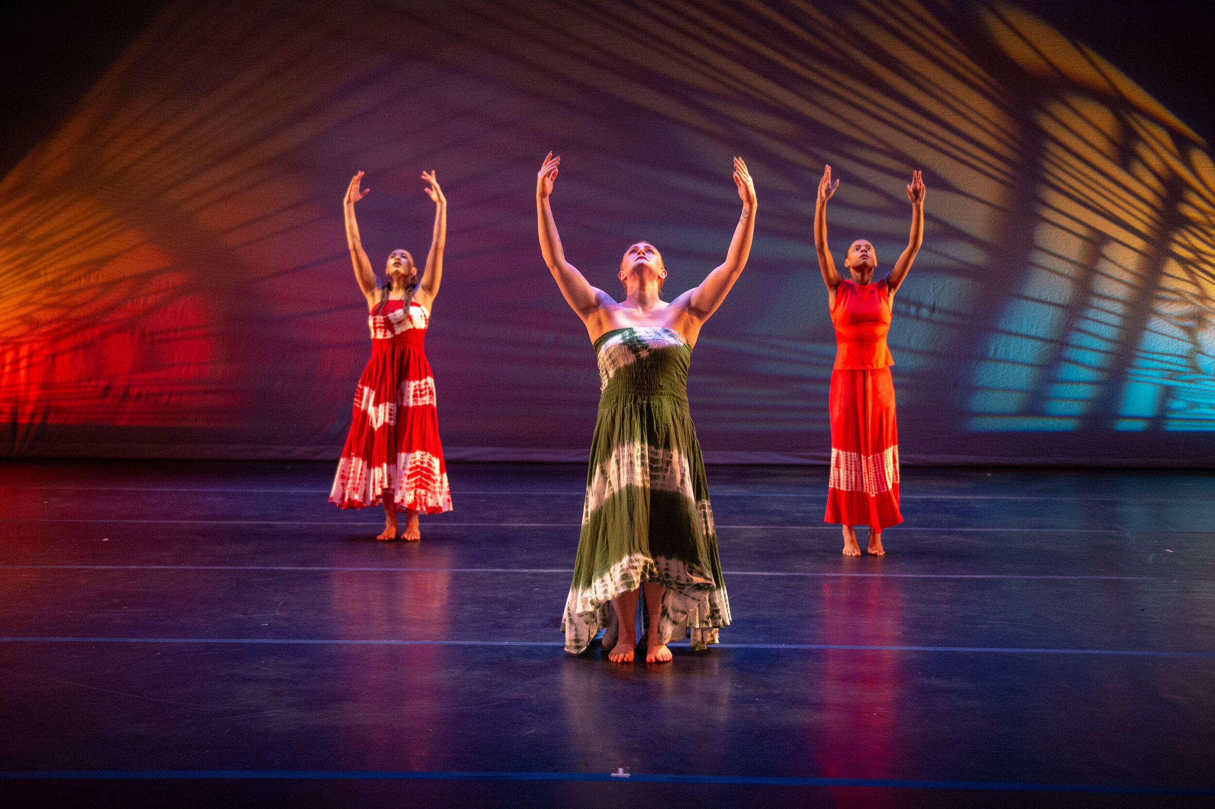 PETER LONDON GLOBAL DANCE COMPANY CELEBRATES 10TH ANNIVERSARY WITH WORLD PREMIERE AT THE ARSHT CENTER: WOMEN-ROSES-WATER