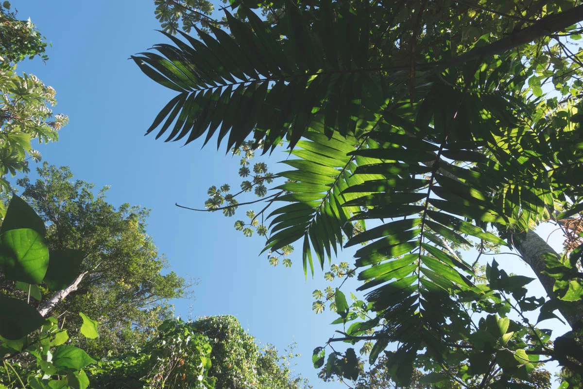 CostaRica-7.jpg