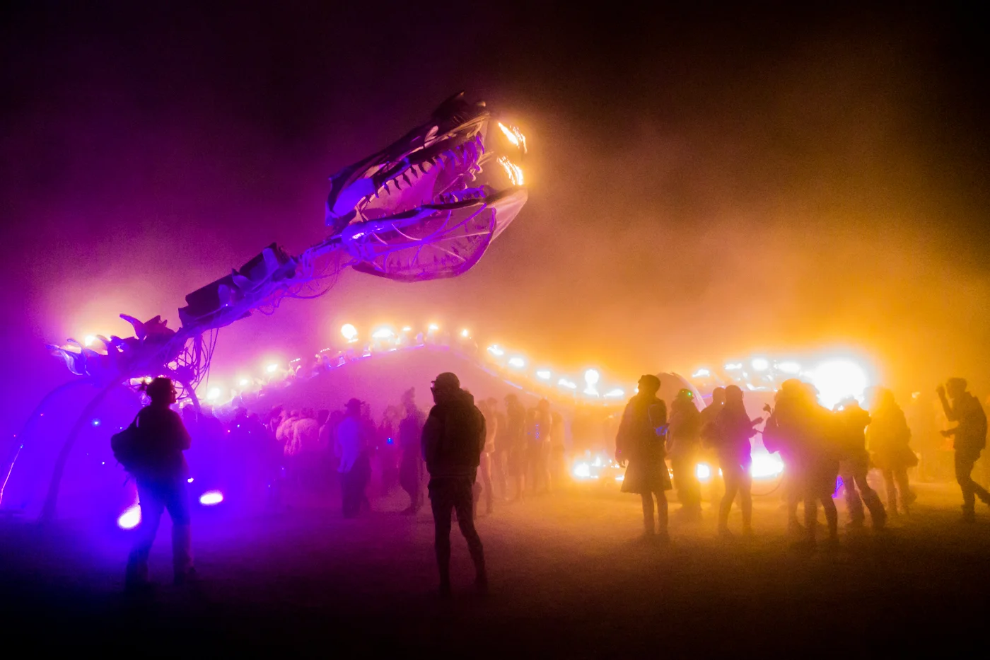 BurningMan-3.jpg