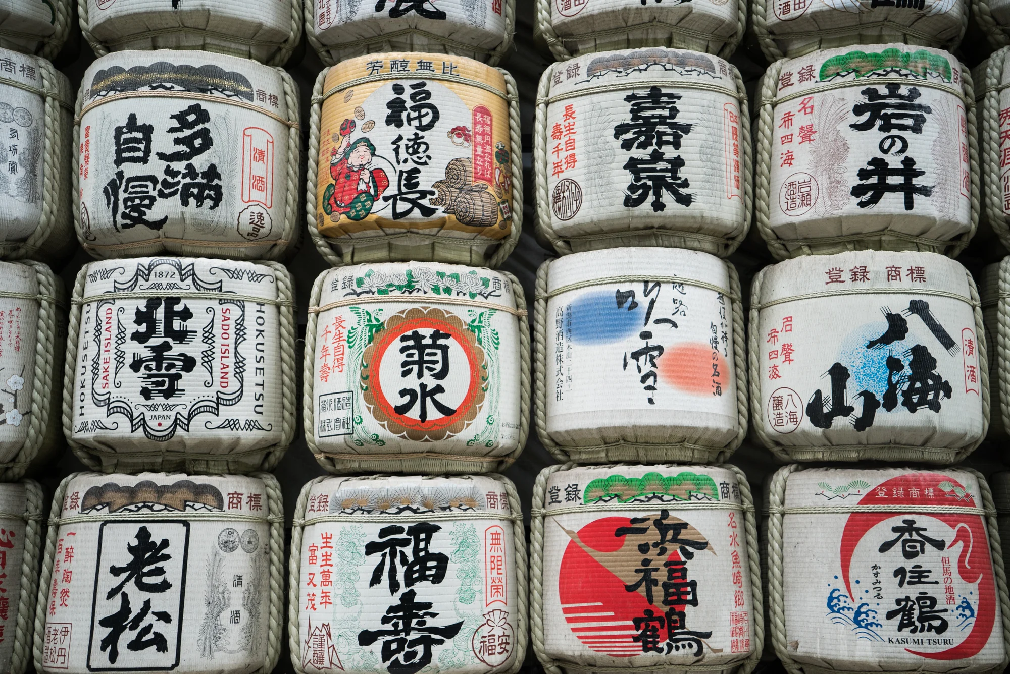 DSC03055.jpg