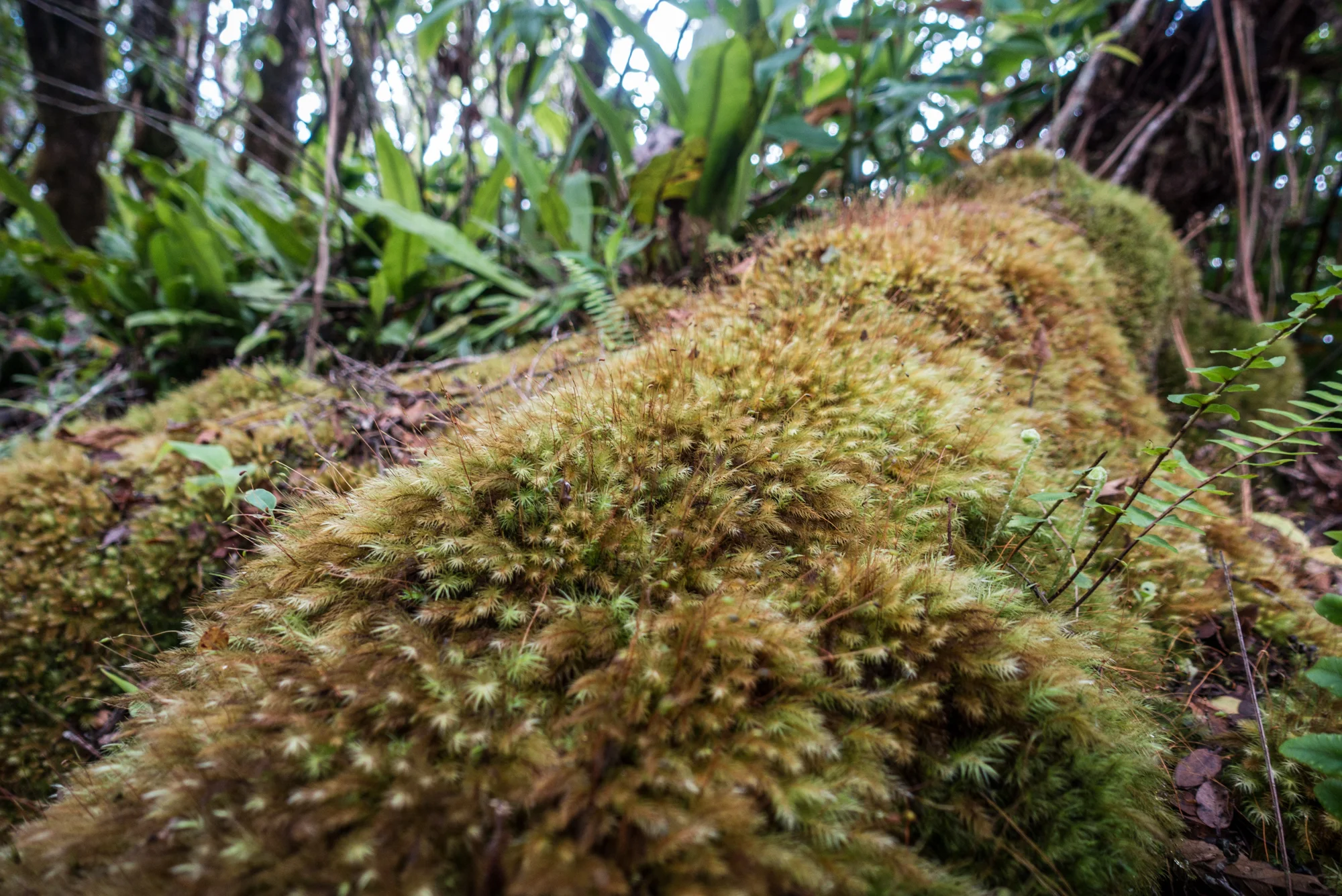 DSC05013.jpg