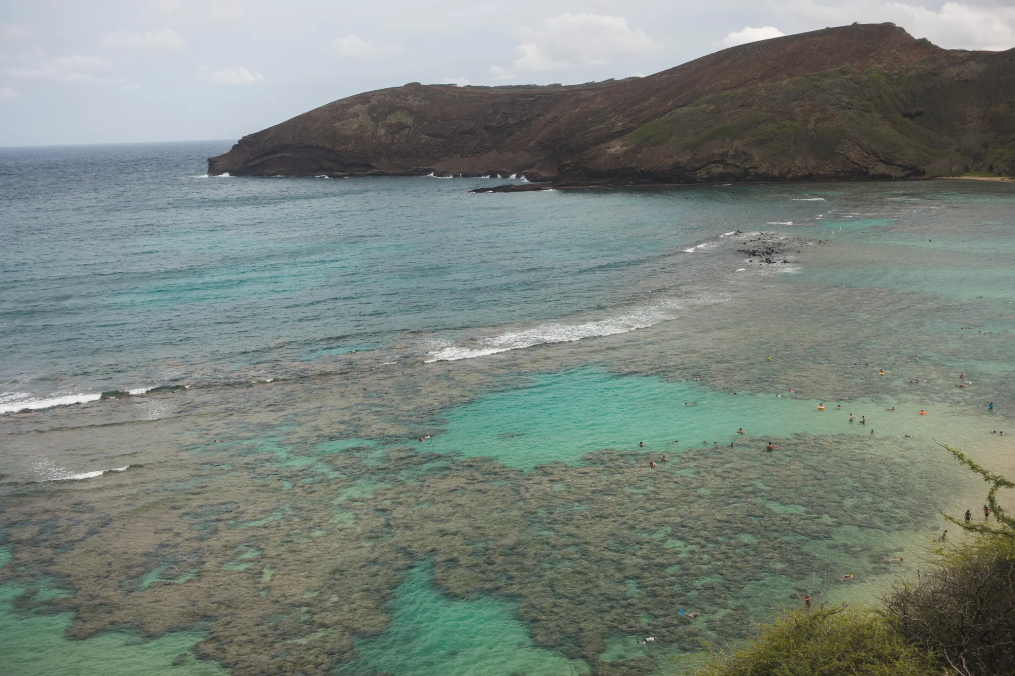 DSC05252.jpg