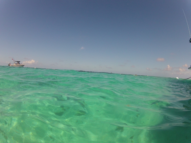  This is a real picture that I took one day snorkeling…are you kidding me? So ridiculous. My happy place.