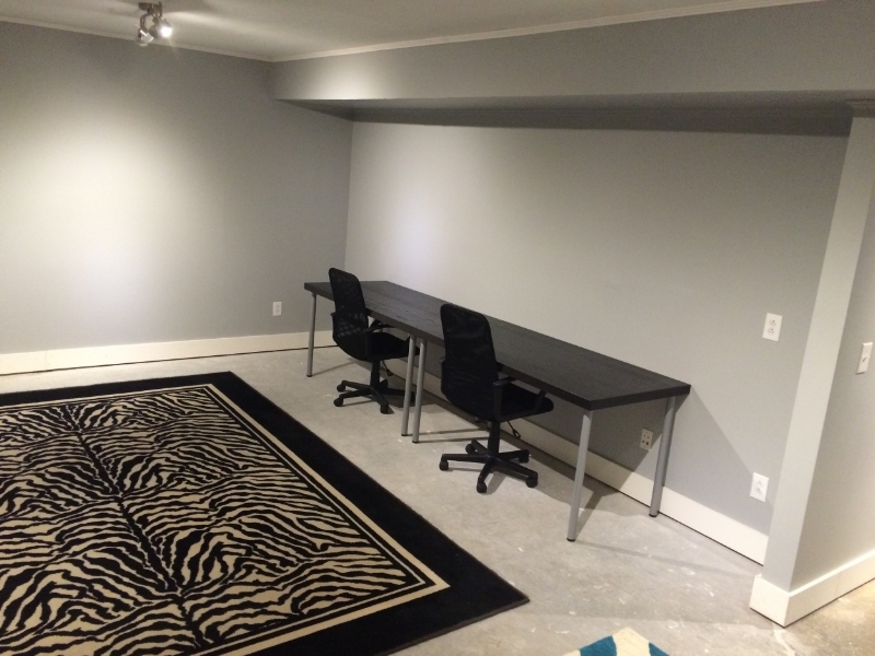 New, fresh, space. With zebra print…obviously. 