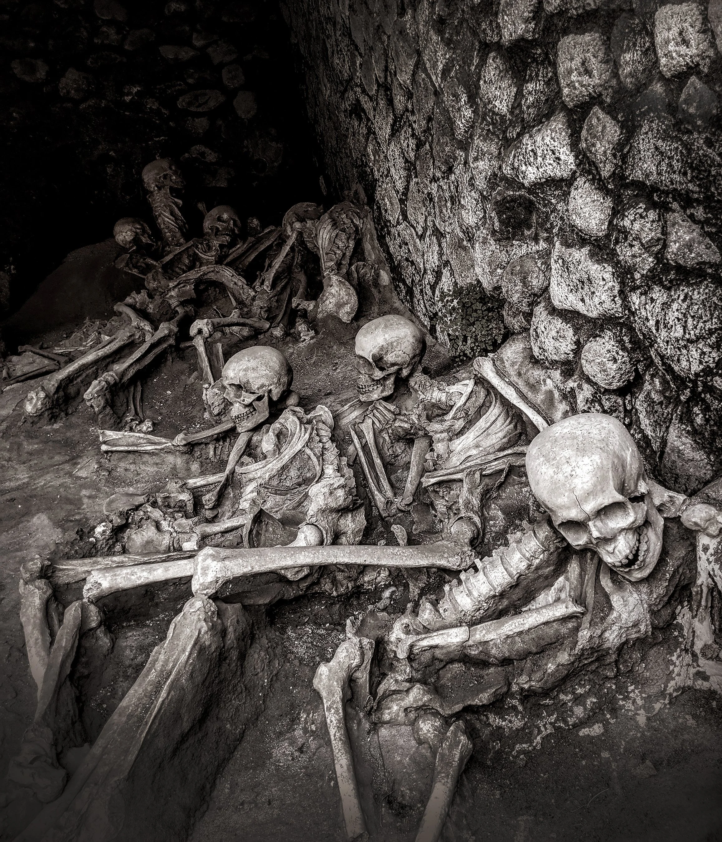 Herculaneum FATAL END The 2000 year old bones of the victims of Vesuvius.jpg