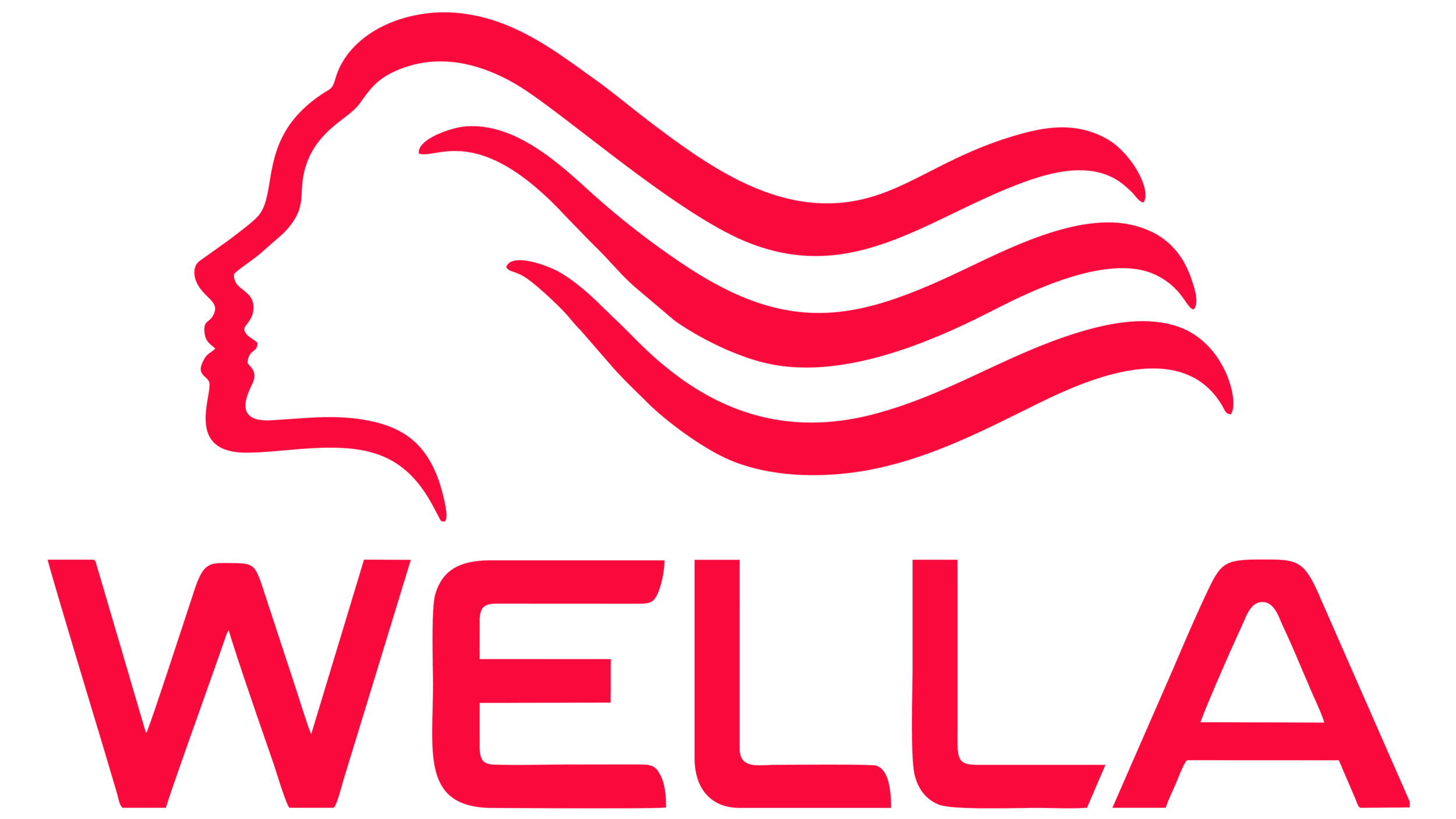 Wella-Logo.png