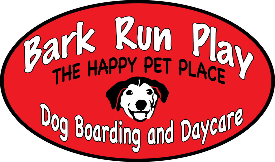 Bark Run Play