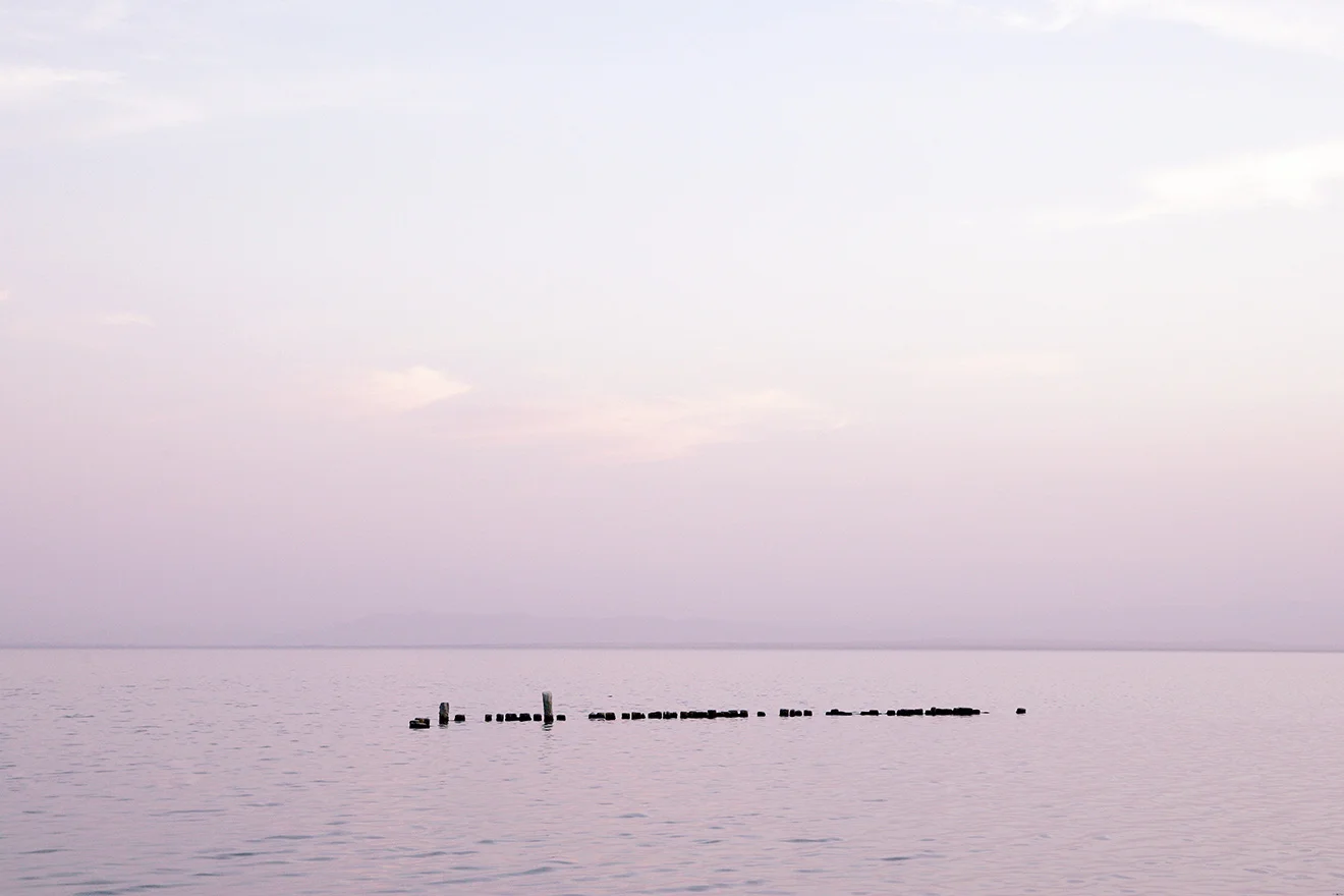 14_NL2R6740_laureldailey_fielding.jpg