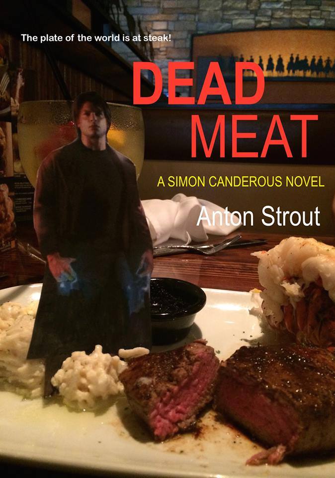 A pretend cover for book 5 of the Simon Canderous series...Or IS it?