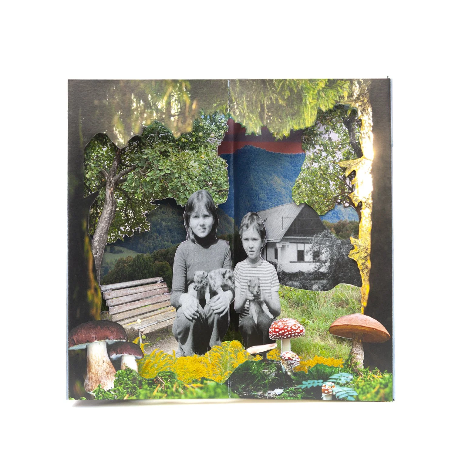 Once Upon A Place