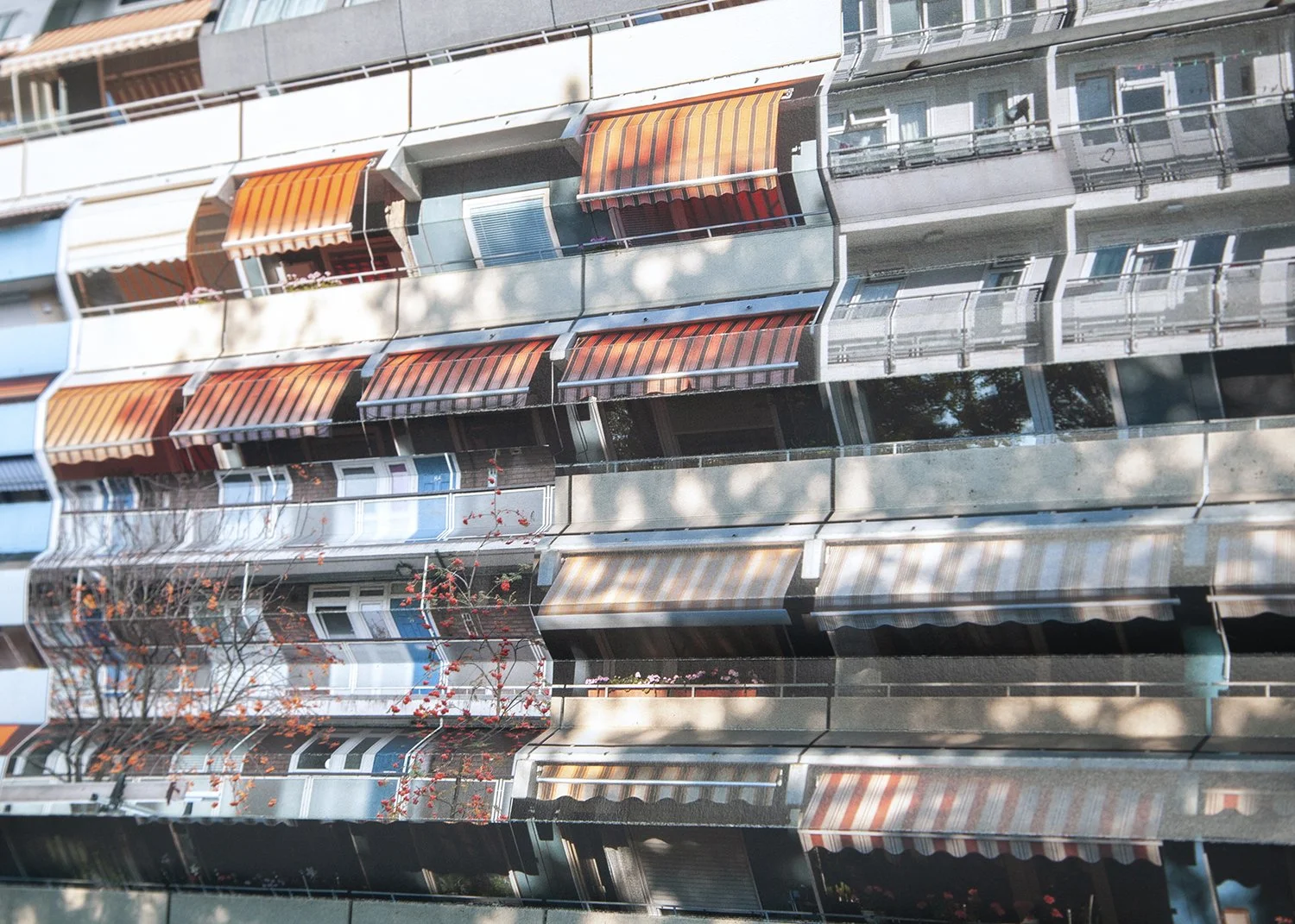 Blocks of Flats (detail) 2026