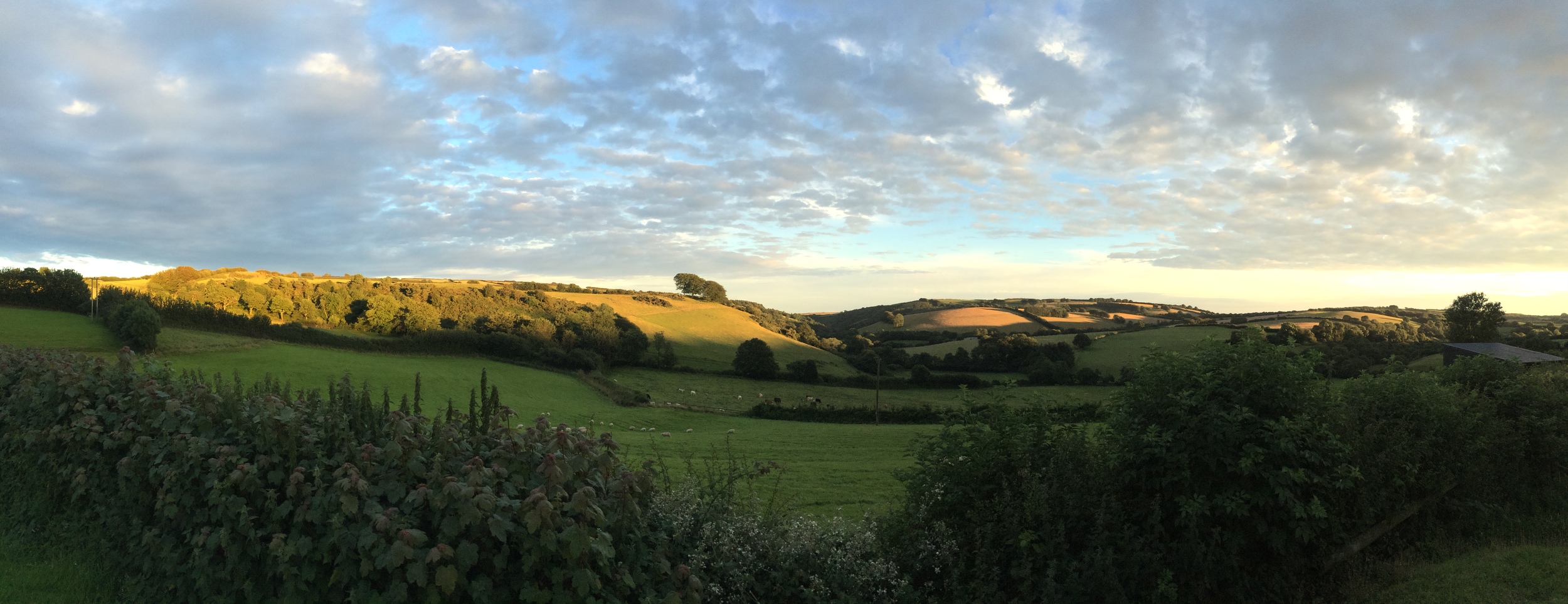The wedding took placeat&nbsp;Little Quarm Cottages&nbsp;in Wheddon Cross in the heart of Exmoor National Park in Somerset.